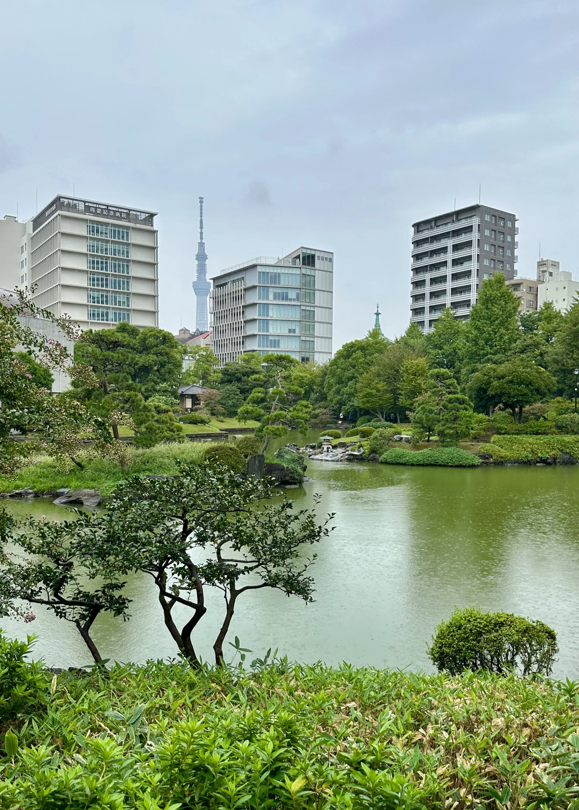  Tokyo Skytree is so big, it’s almost always in view. 