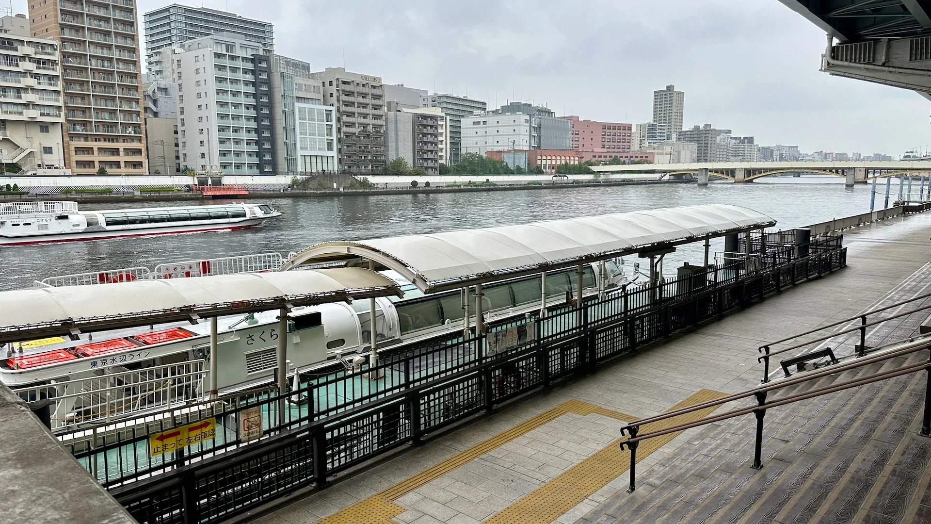 2025 10 Tokyo TeamLab - 52.jpeg