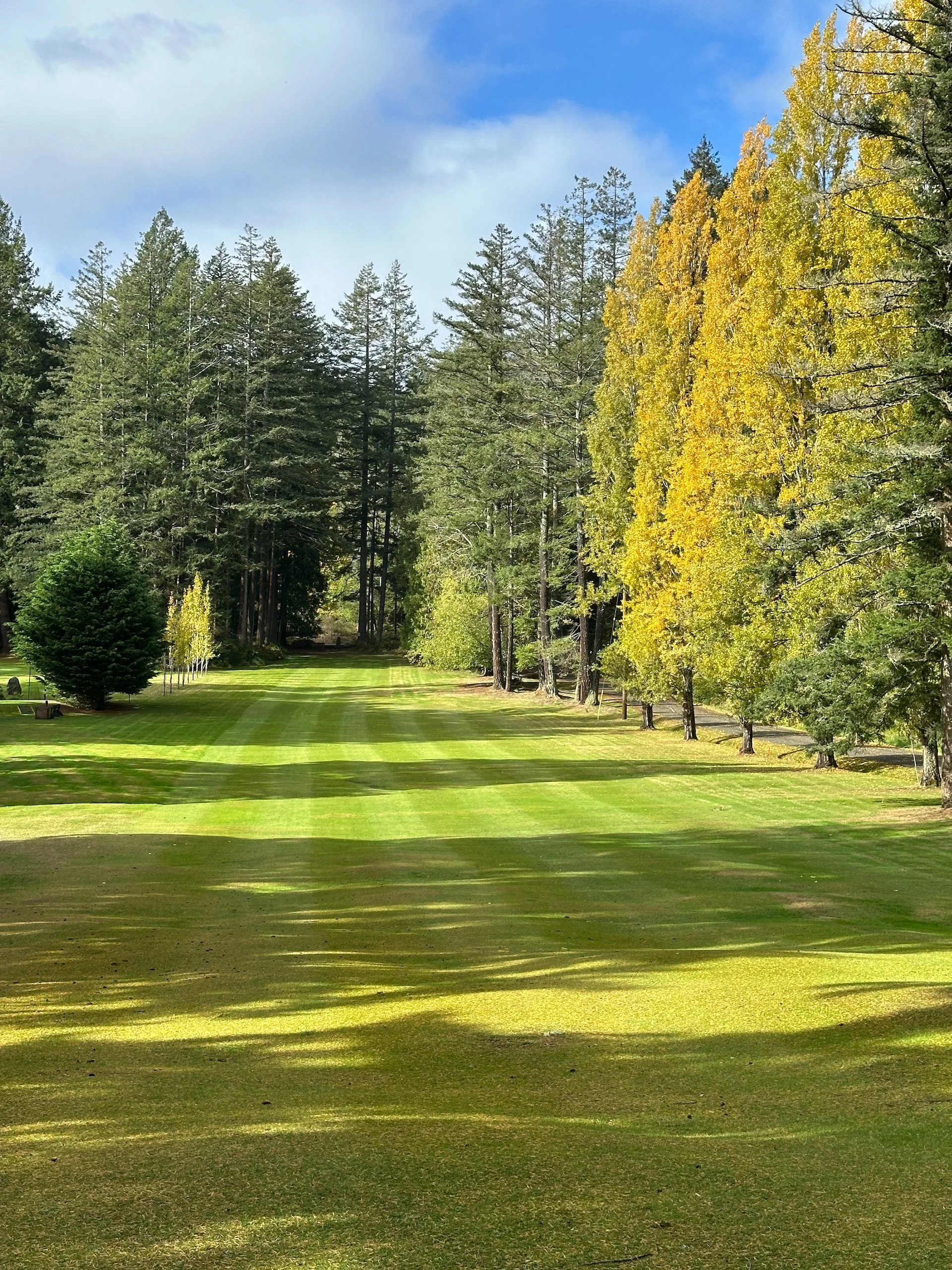 2025 10 Galiano and Writers Festival - 7.jpeg