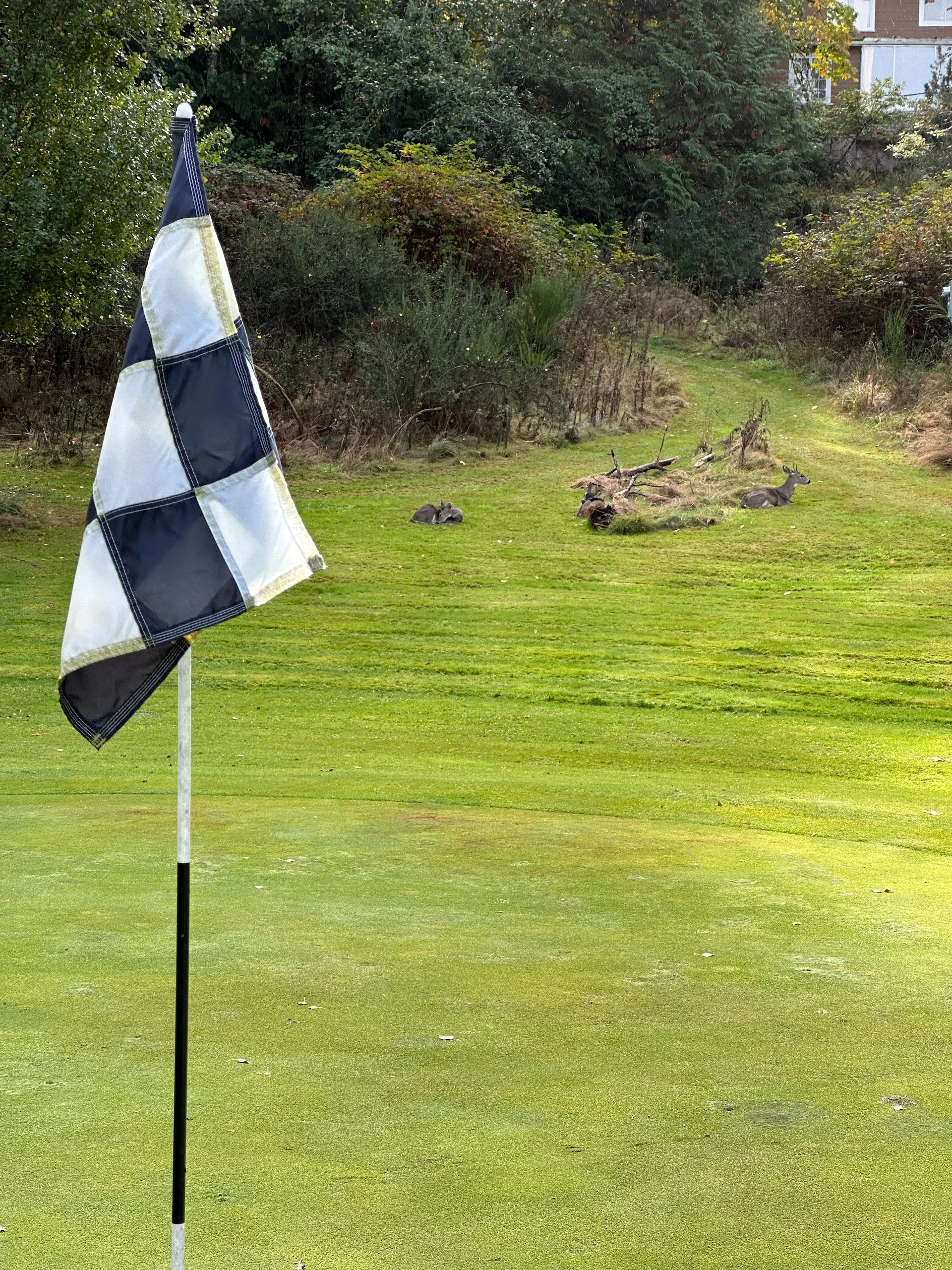 2025 10 Galiano and Writers Festival - 6.jpeg