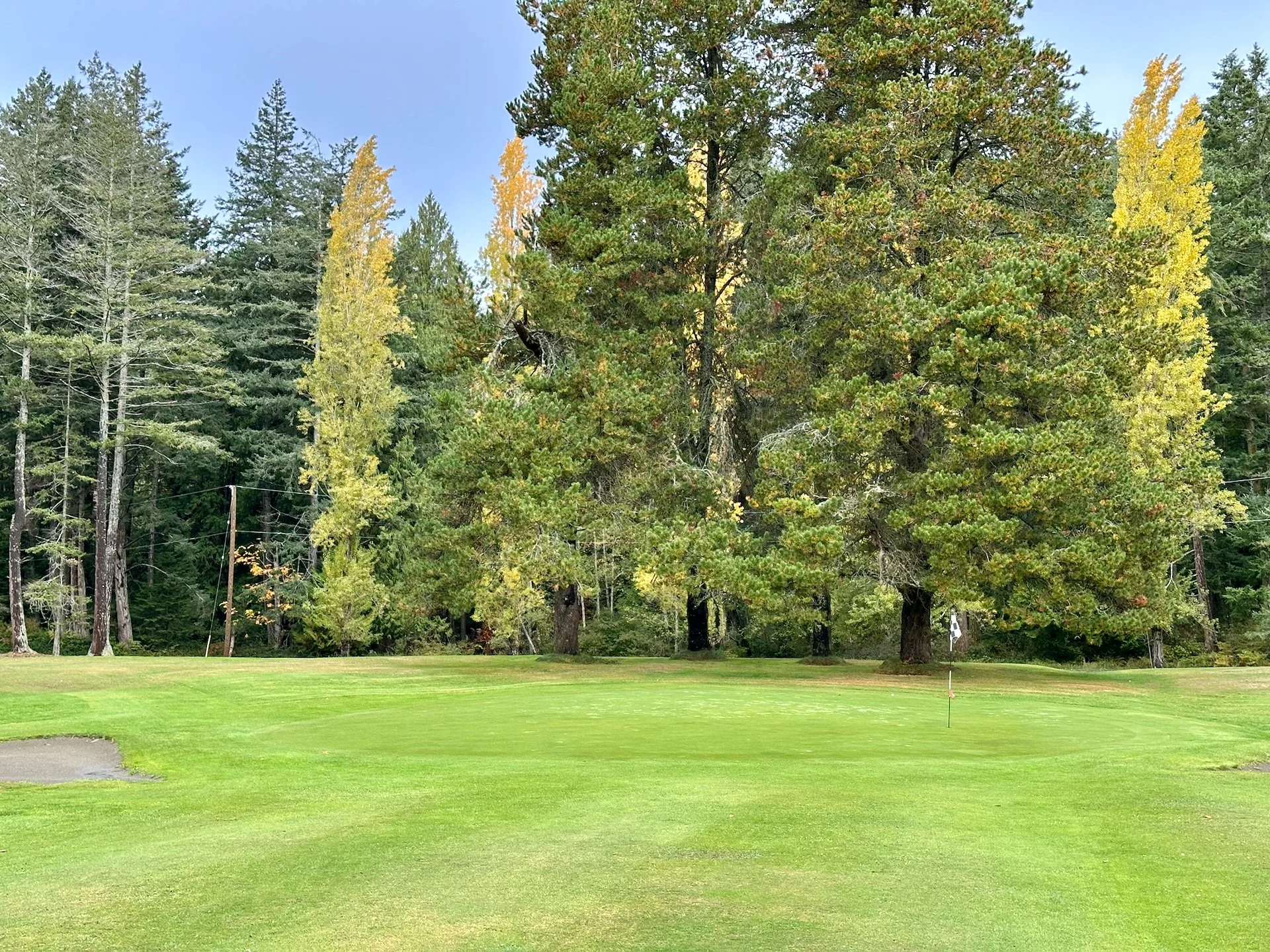 2025 10 Galiano and Writers Festival - 5.jpeg