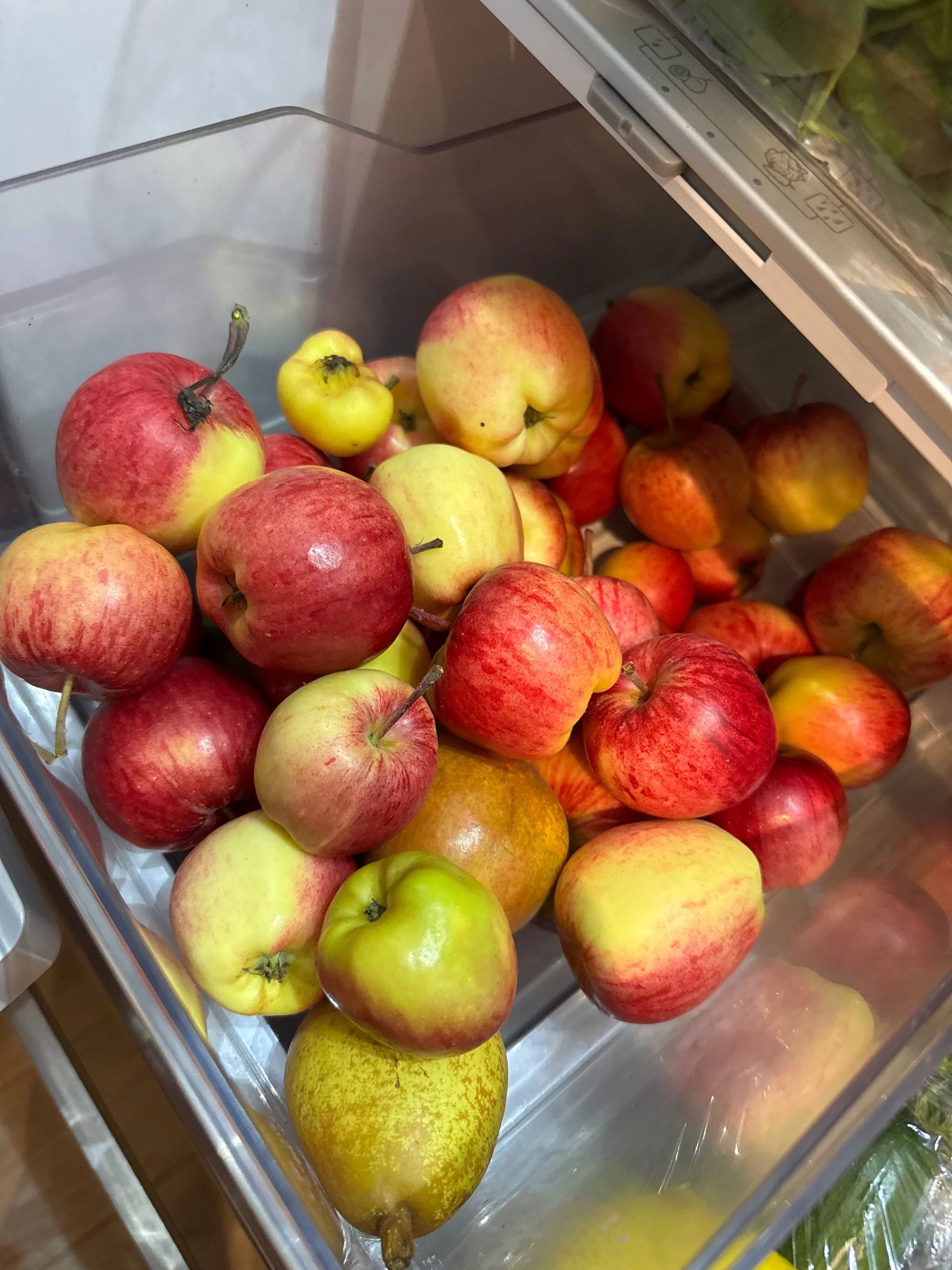  Lots of fruit this year! 