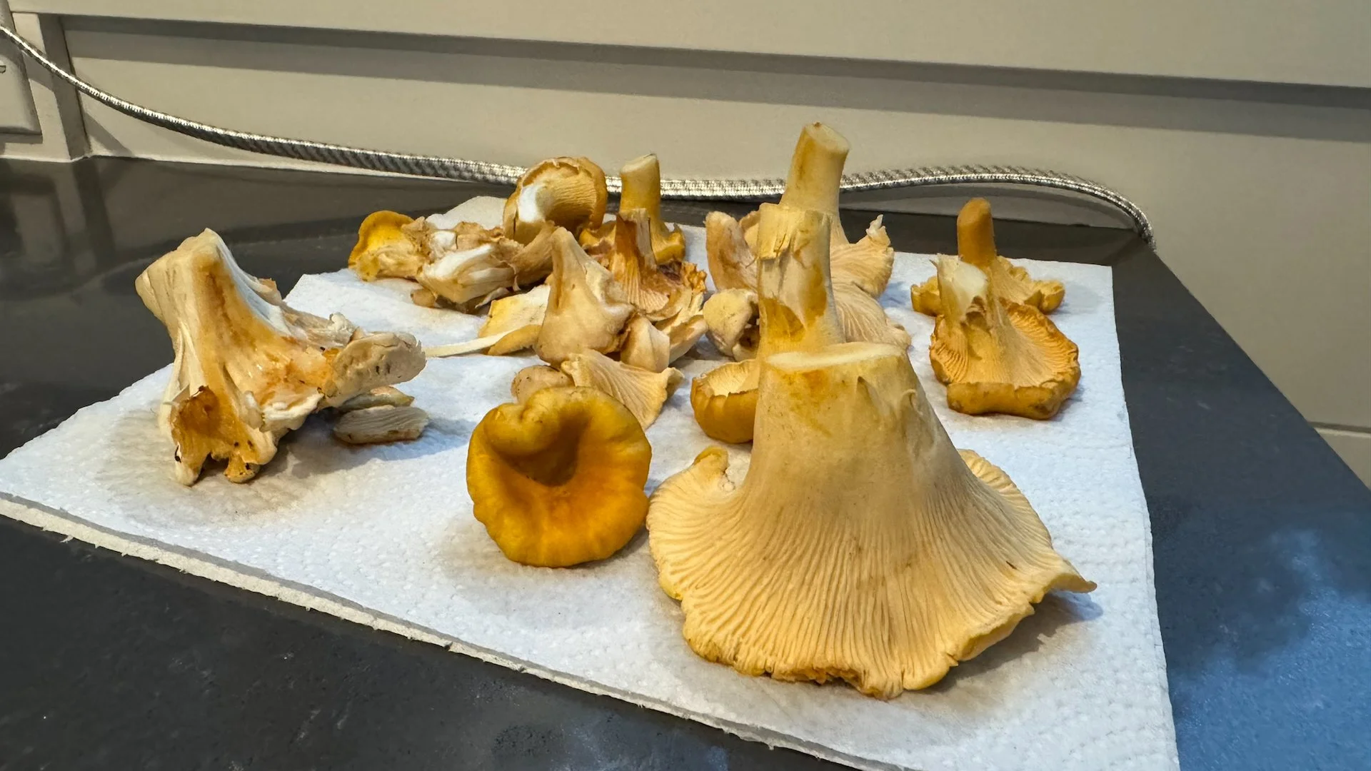 2025 10 Galiano and Writers Festival - 4.jpeg