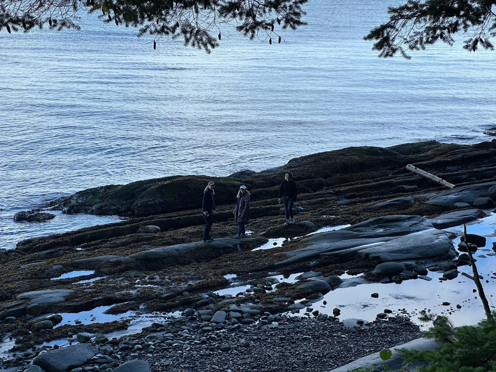  The intrepid explorers.  