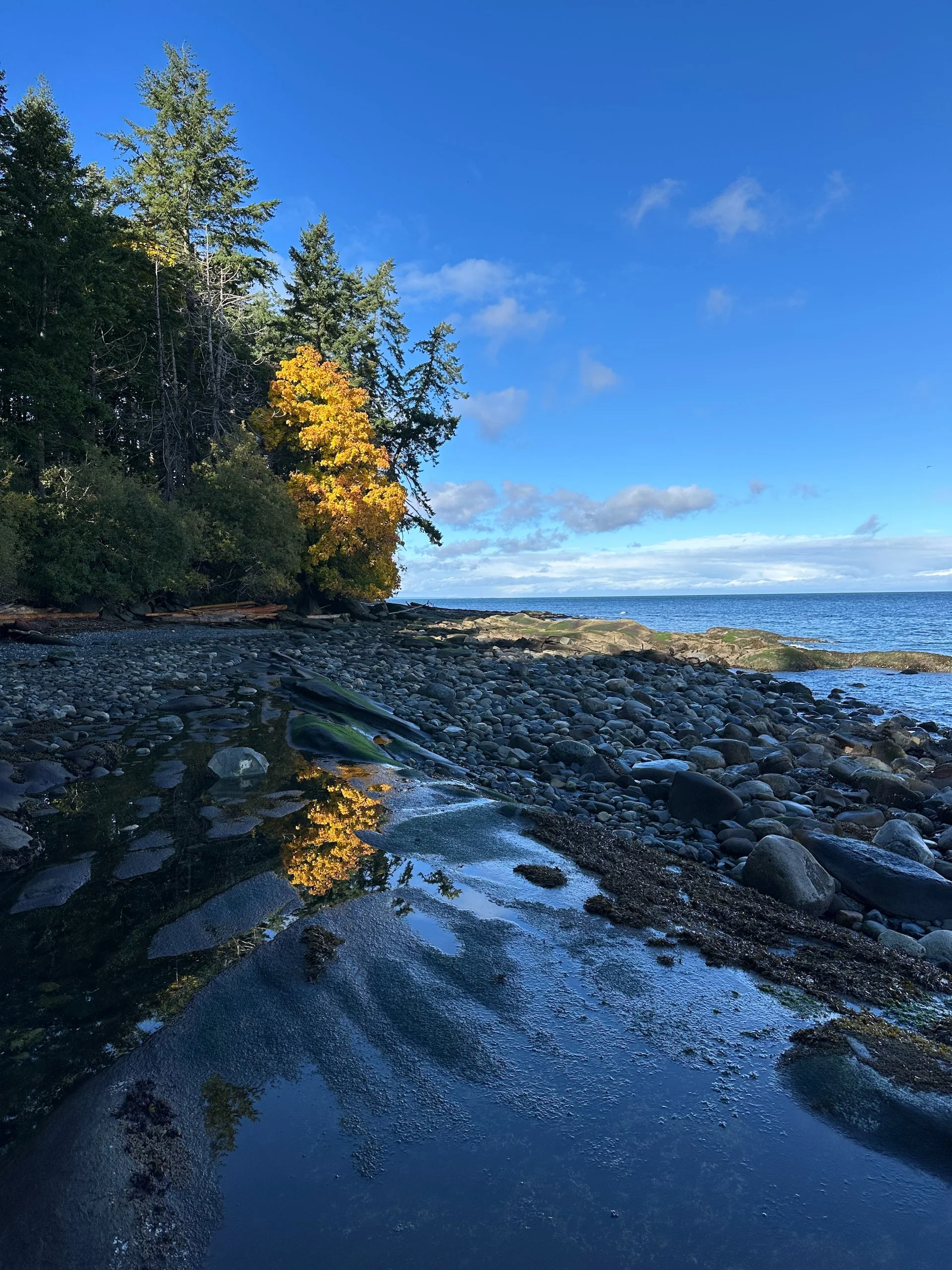  We’re having some really nice colour in the leaves this fall.  