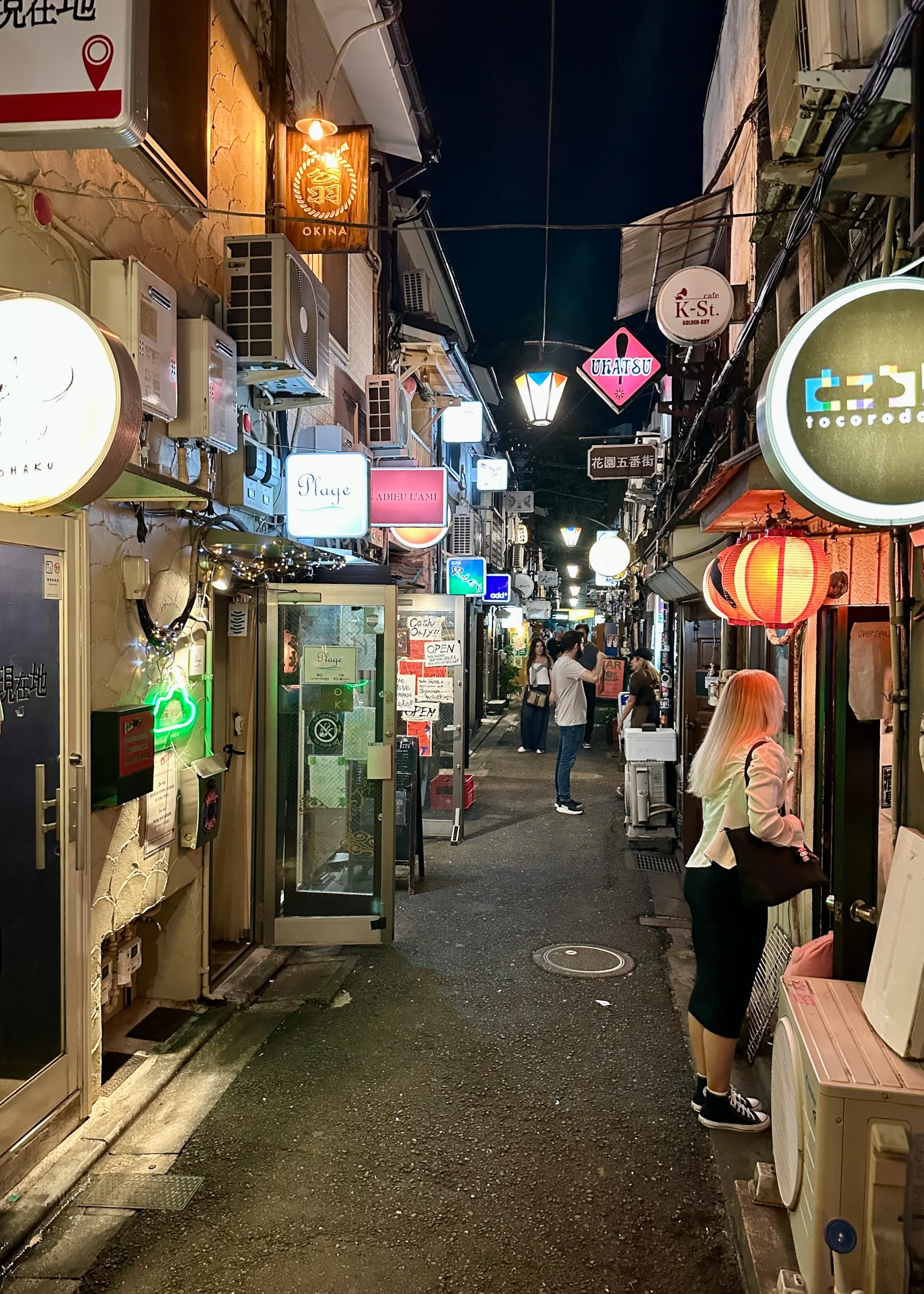 2025 10 Tokyo Imperial Palace - 31.jpeg