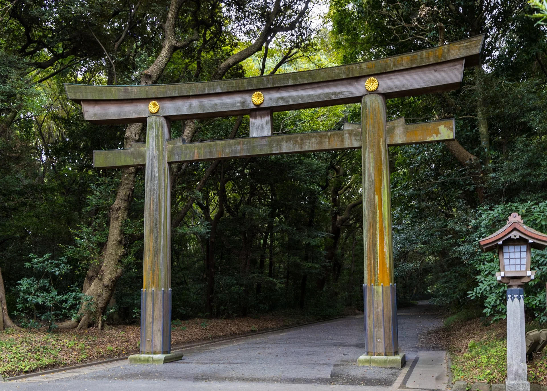  I may have cheated and removed the people in order to get the memory I wanted… 