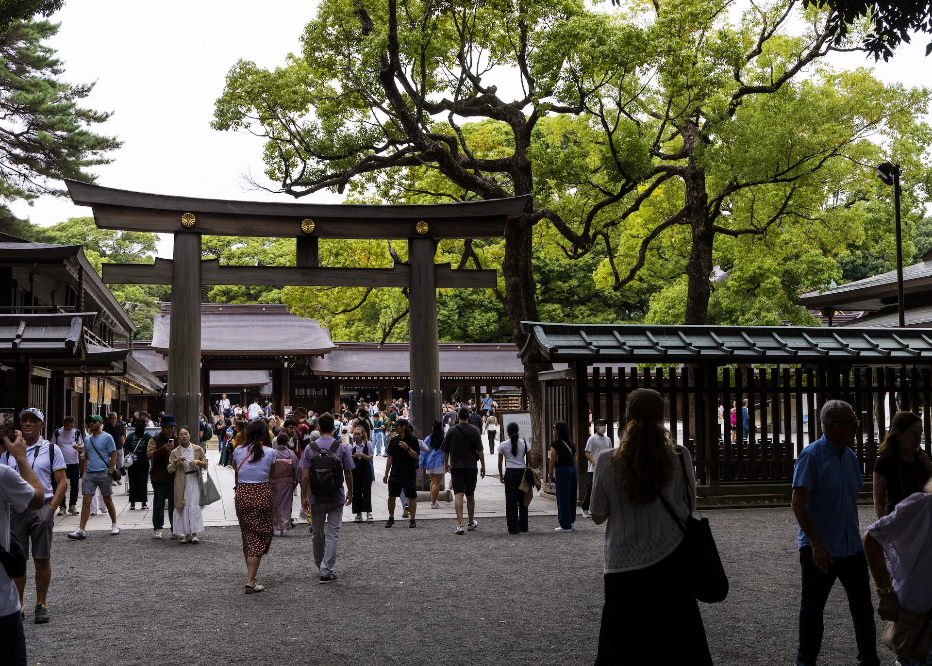  Approaching the front gate - there were already way too many people. 