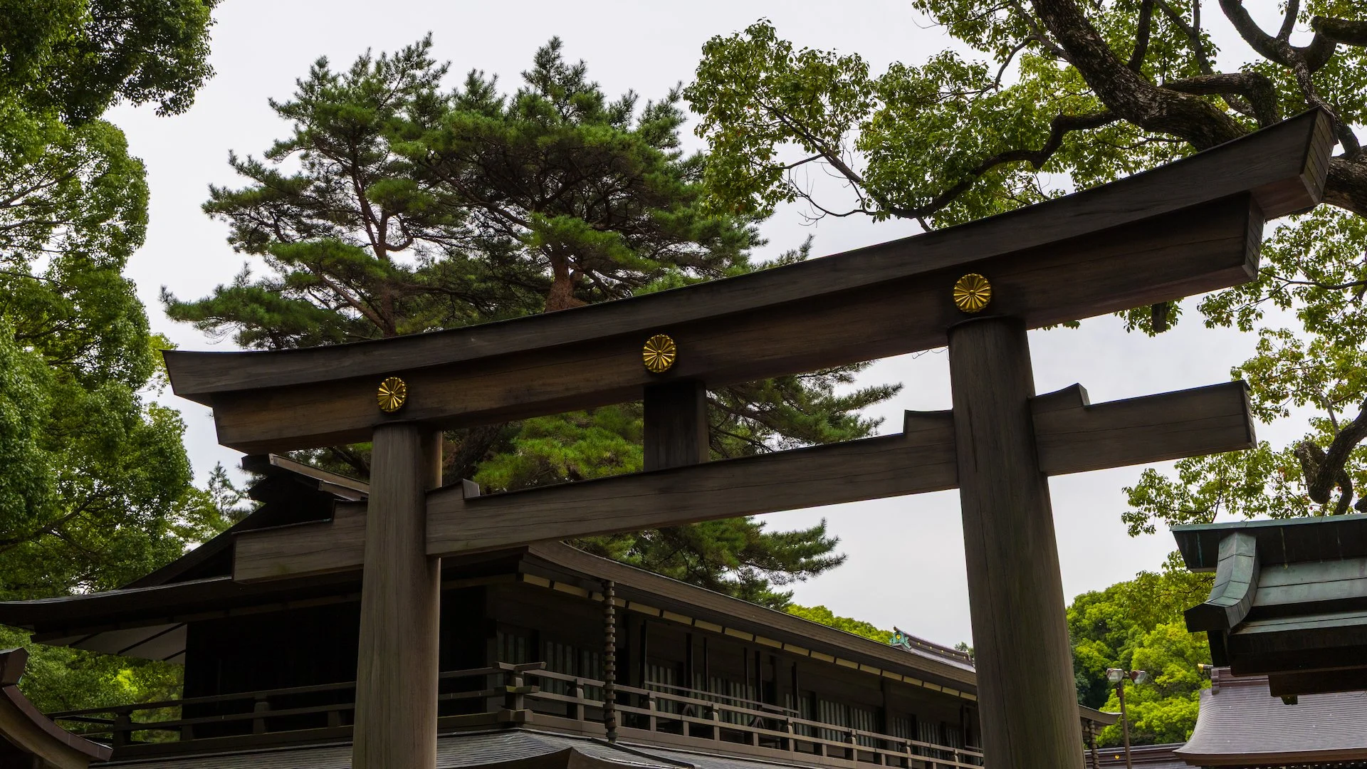 2025 10 Tokyo Imperial Palace 2 - 47.jpeg