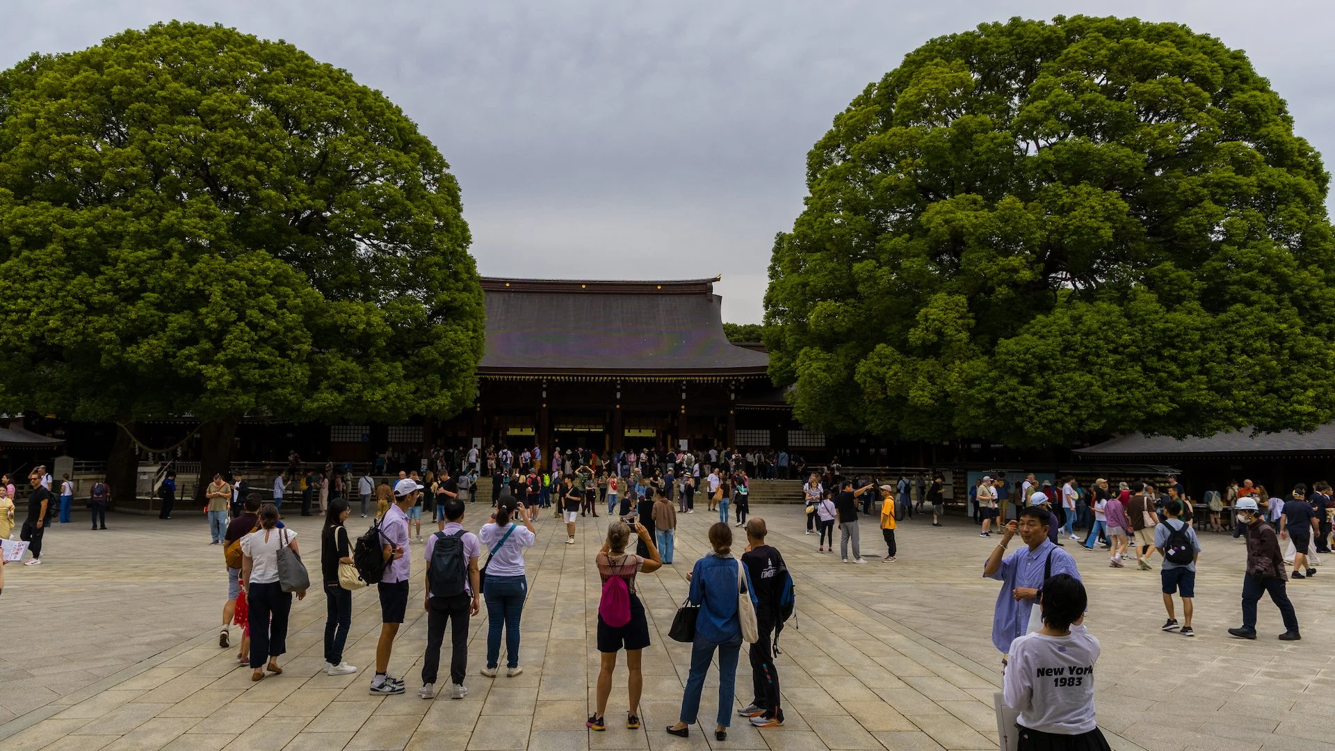 2025 10 Tokyo Imperial Palace 2 - 53.jpeg