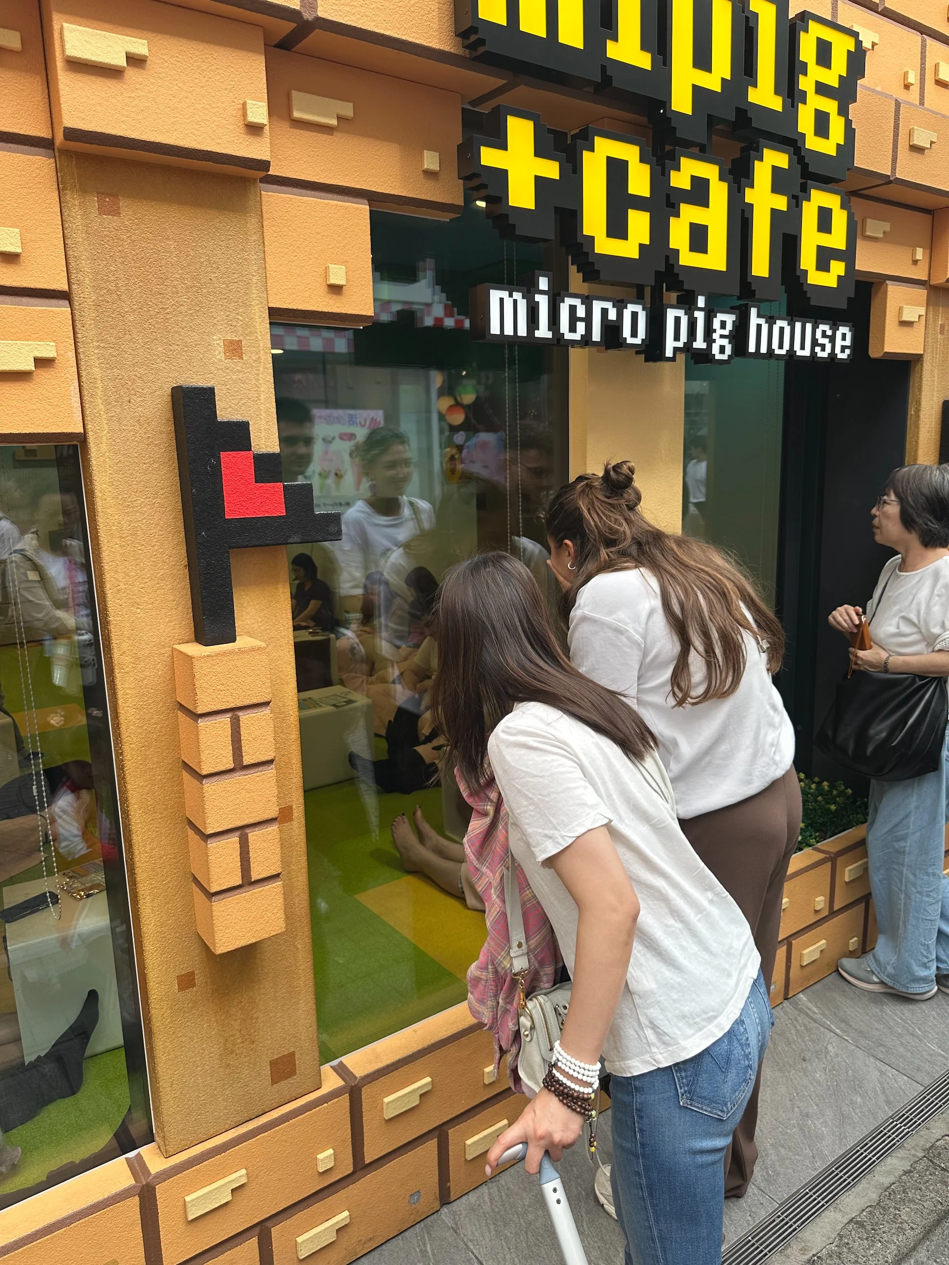  A “pig cafe”. You go inside and play with these small pigs.  