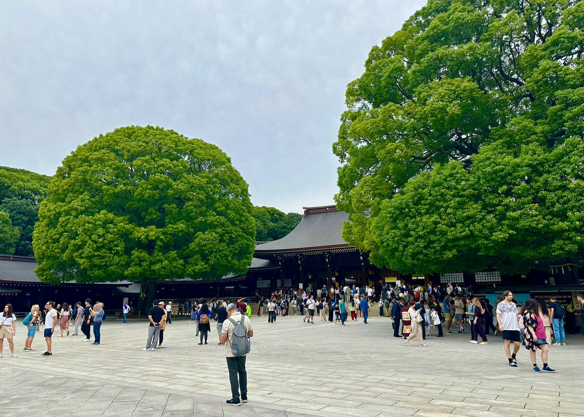 2025 10 Tokyo Shinjuku - 1.jpeg
