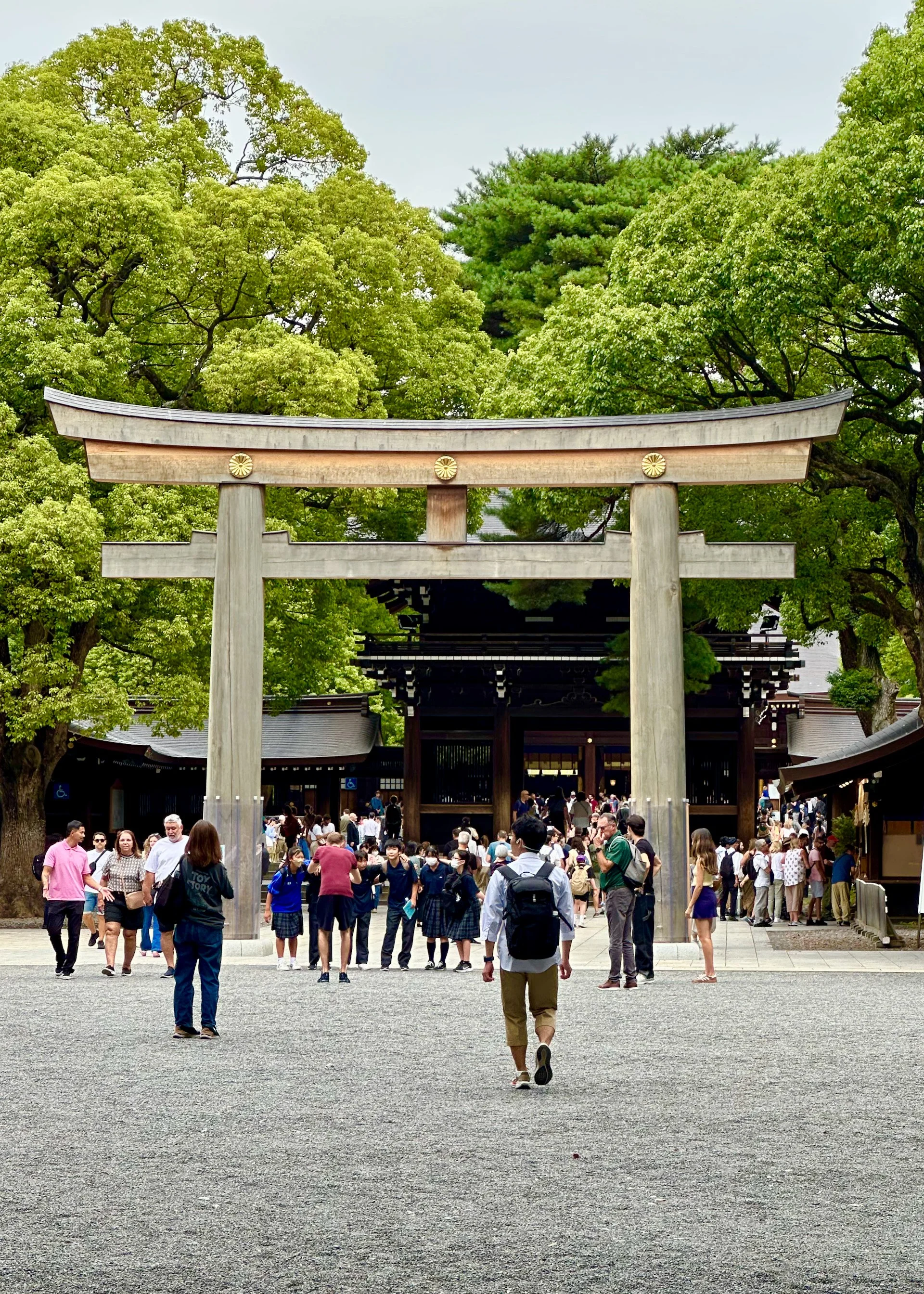 2025 10 Tokyo Shinjuku - 3.jpeg