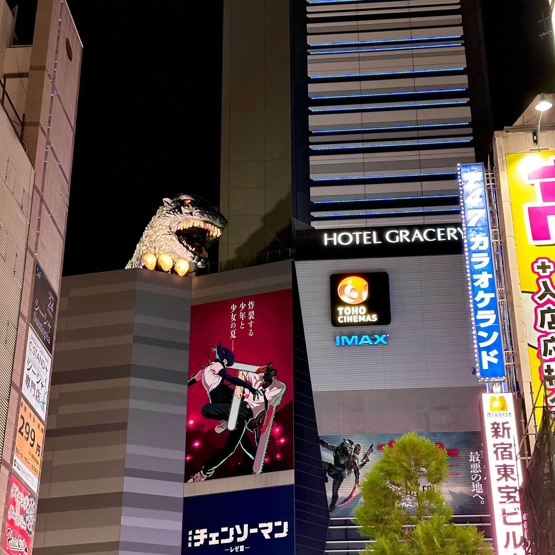  A slightly closer view. 