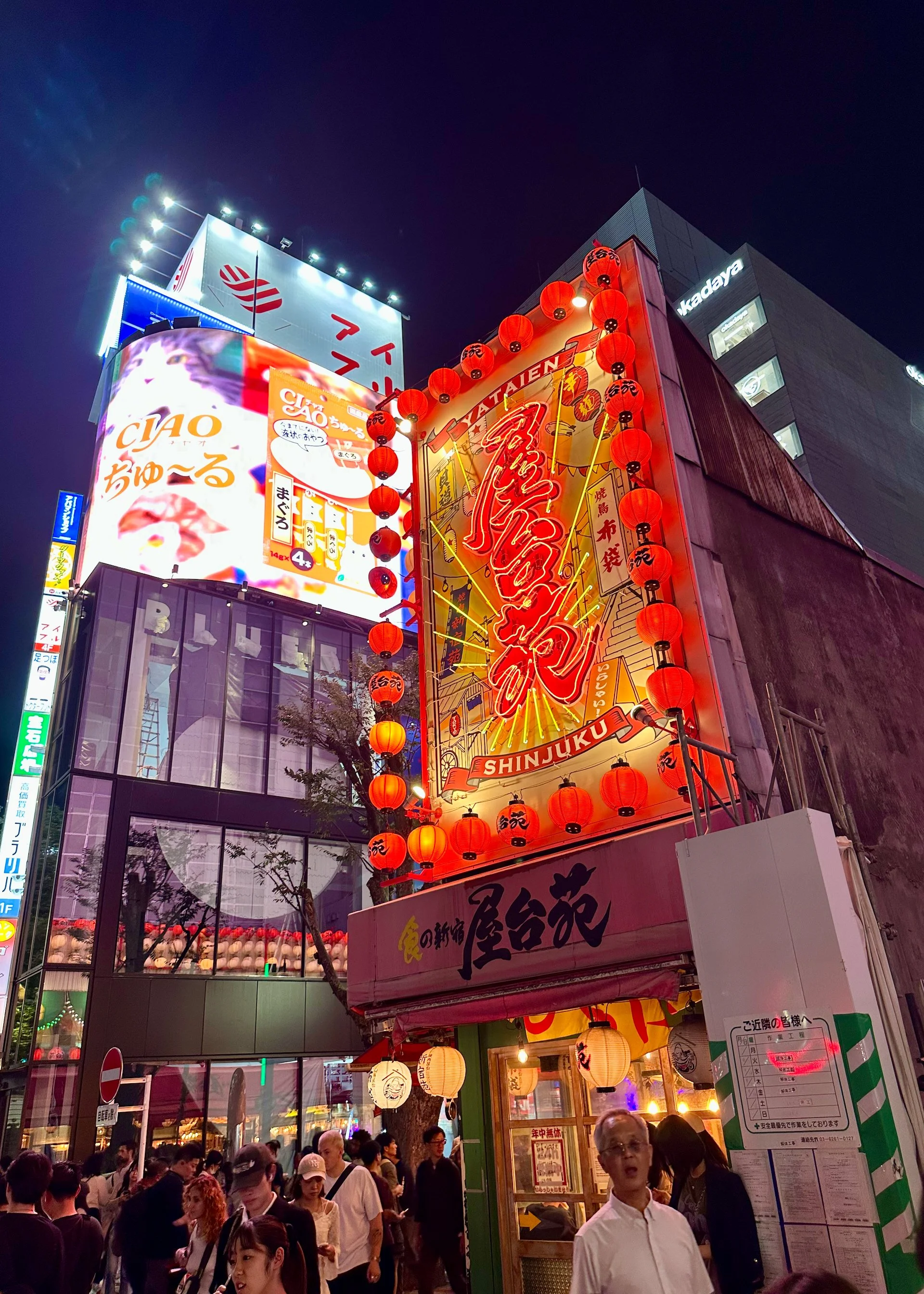 2025 10 Tokyo Shinjuku - 25.jpeg