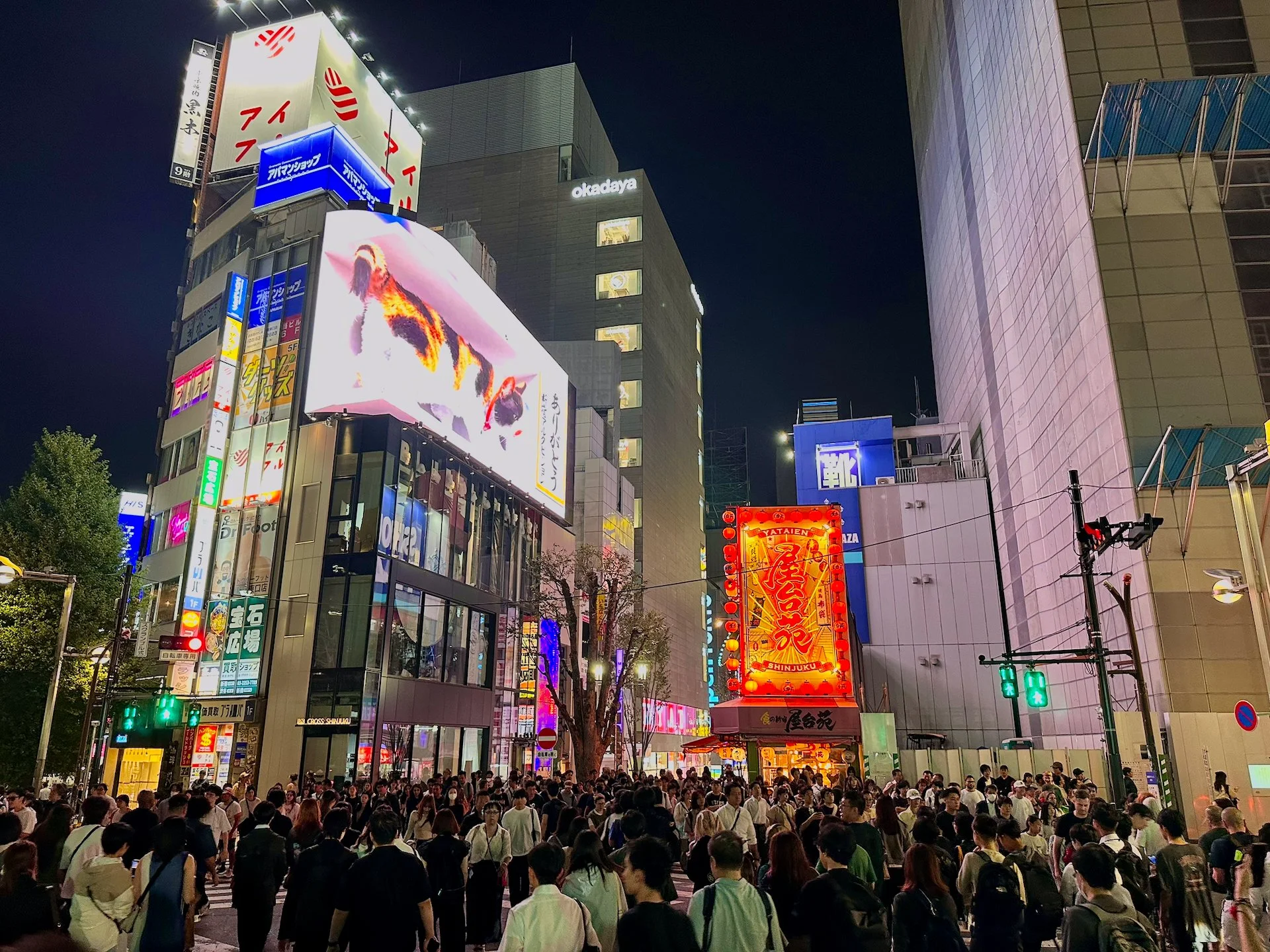  Everybody just stops to watch for a while. 