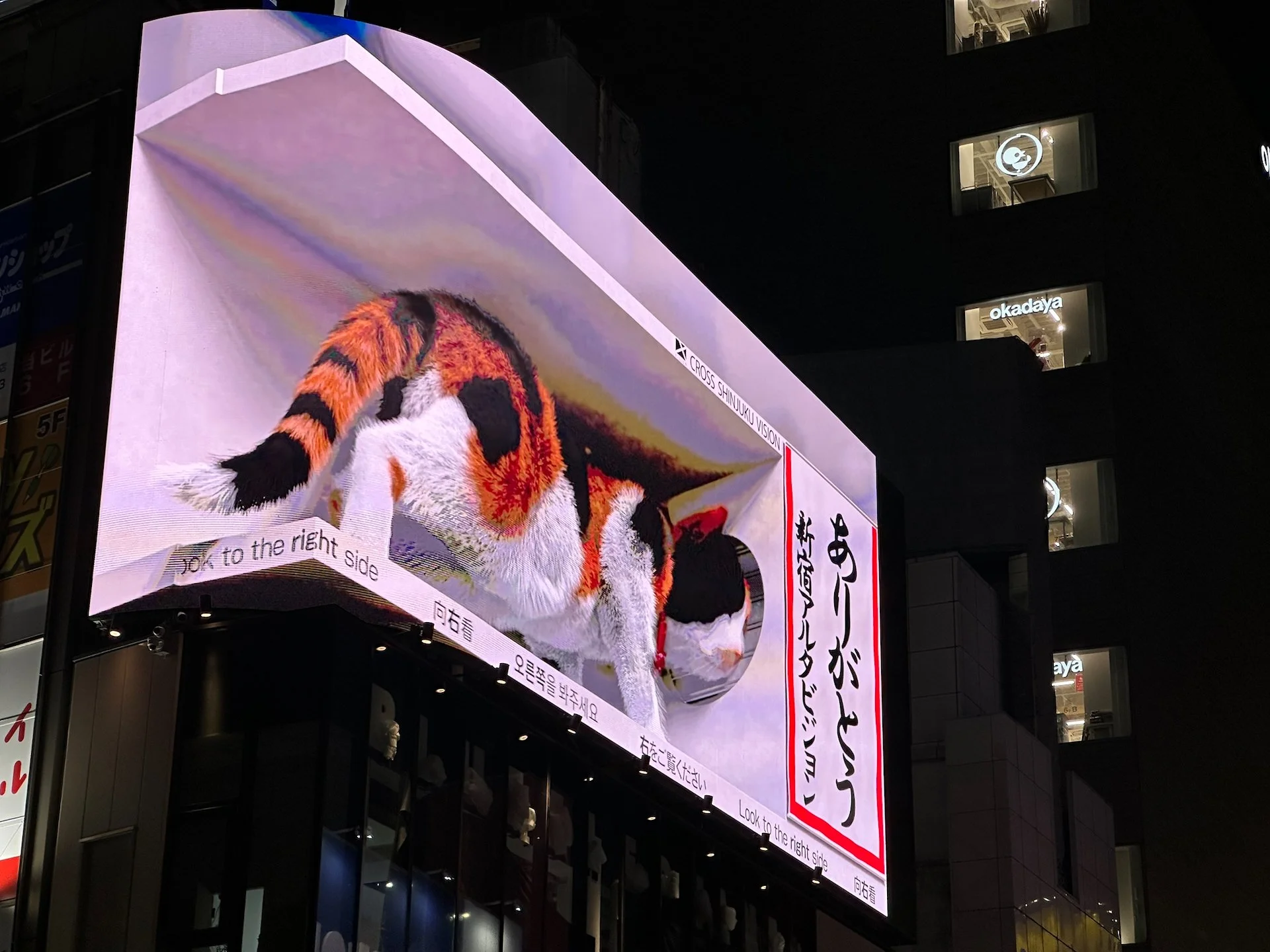  The "3D cat" in Shinjuku is a giant, animated, calico cat on the "Cross Shinjuku Vision" billboard, located above the East Exit of Shinjuku Station. It's a popular landmark that appears on a curved LED screen, creating a realistic 3D illusion as the