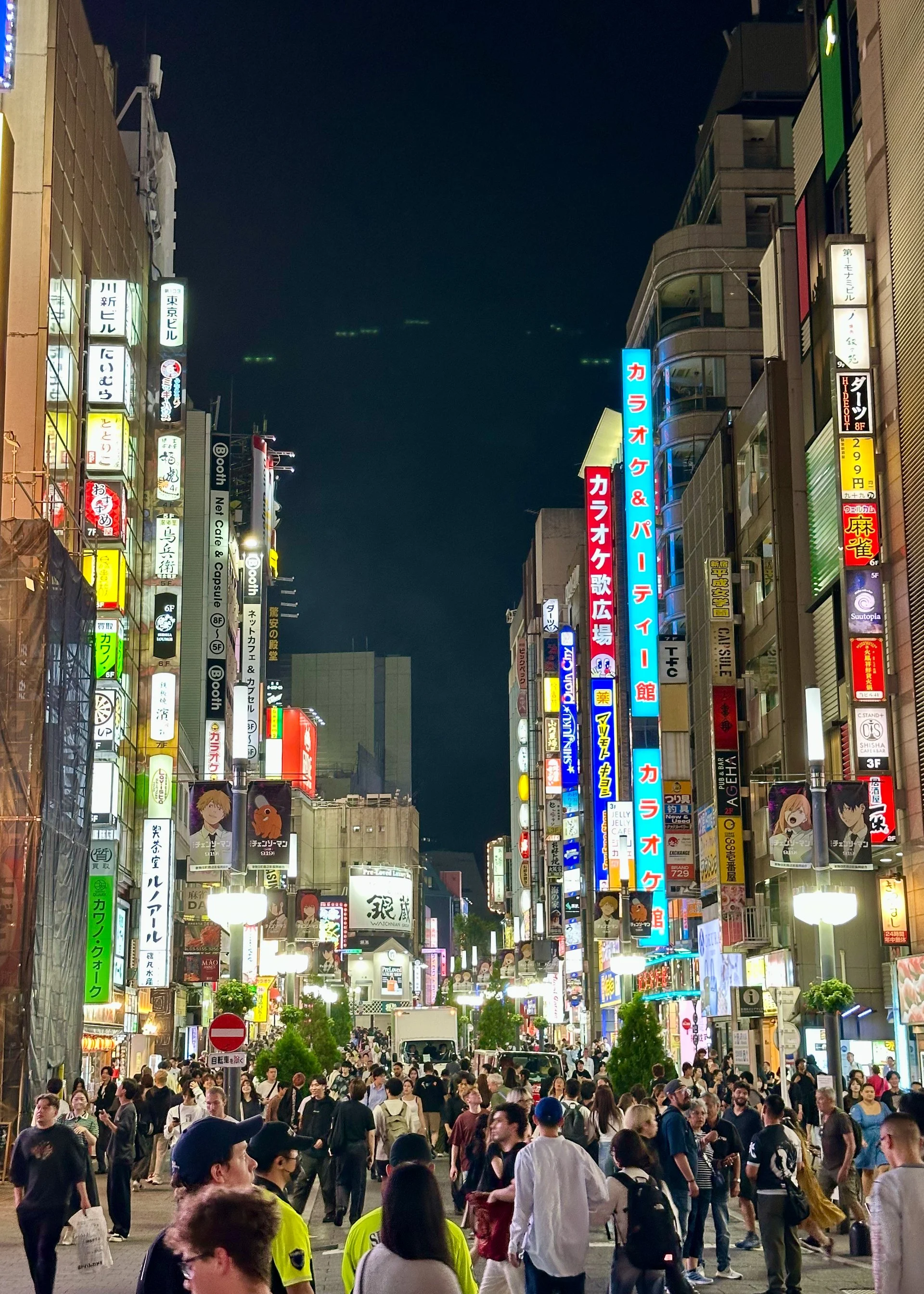  We wandered for quite a while tonight, just soaking in the energy and enjoying all Tokyo has to offer. 