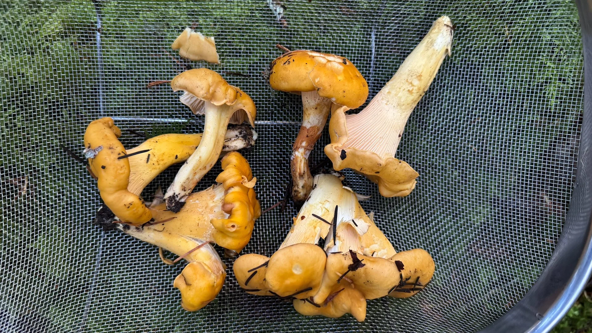  A perfect amount for a meal for the two of us. 