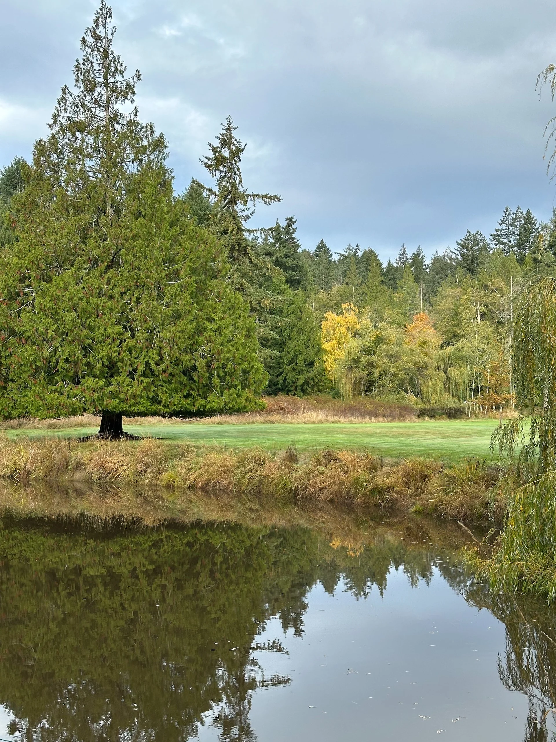  The course was in pretty good shape, a bit wet but very playable. 