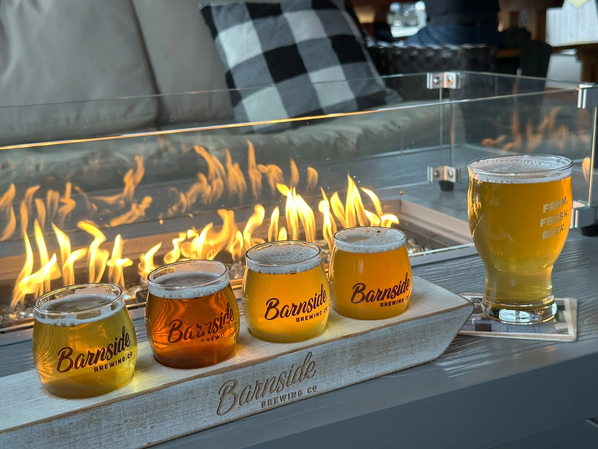  After our short visit to Reifel we headed over to Barnside Brewing for a beer and some lunch.  