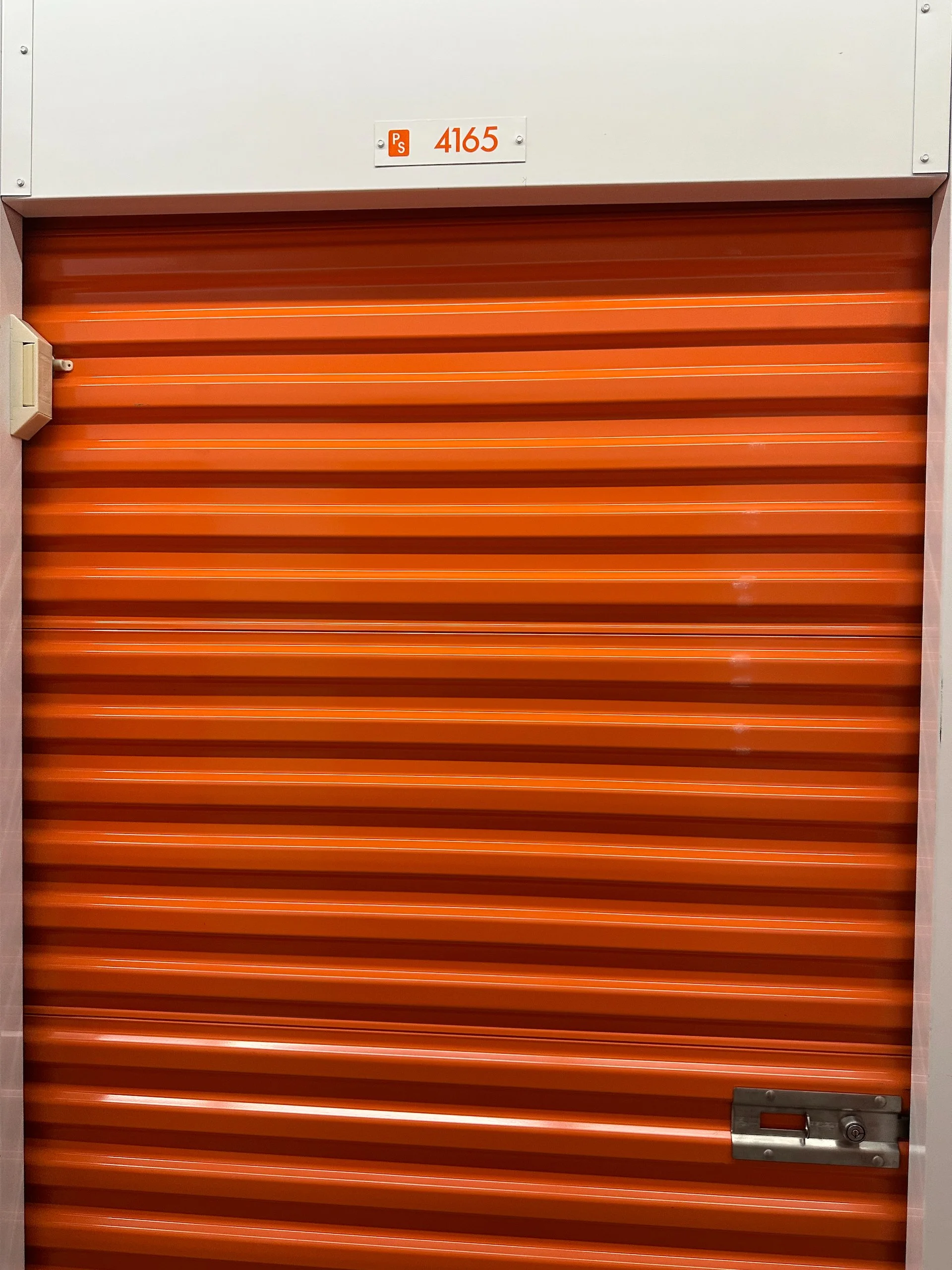 2025 11 Reifel and Sea to Sky - 33.jpeg