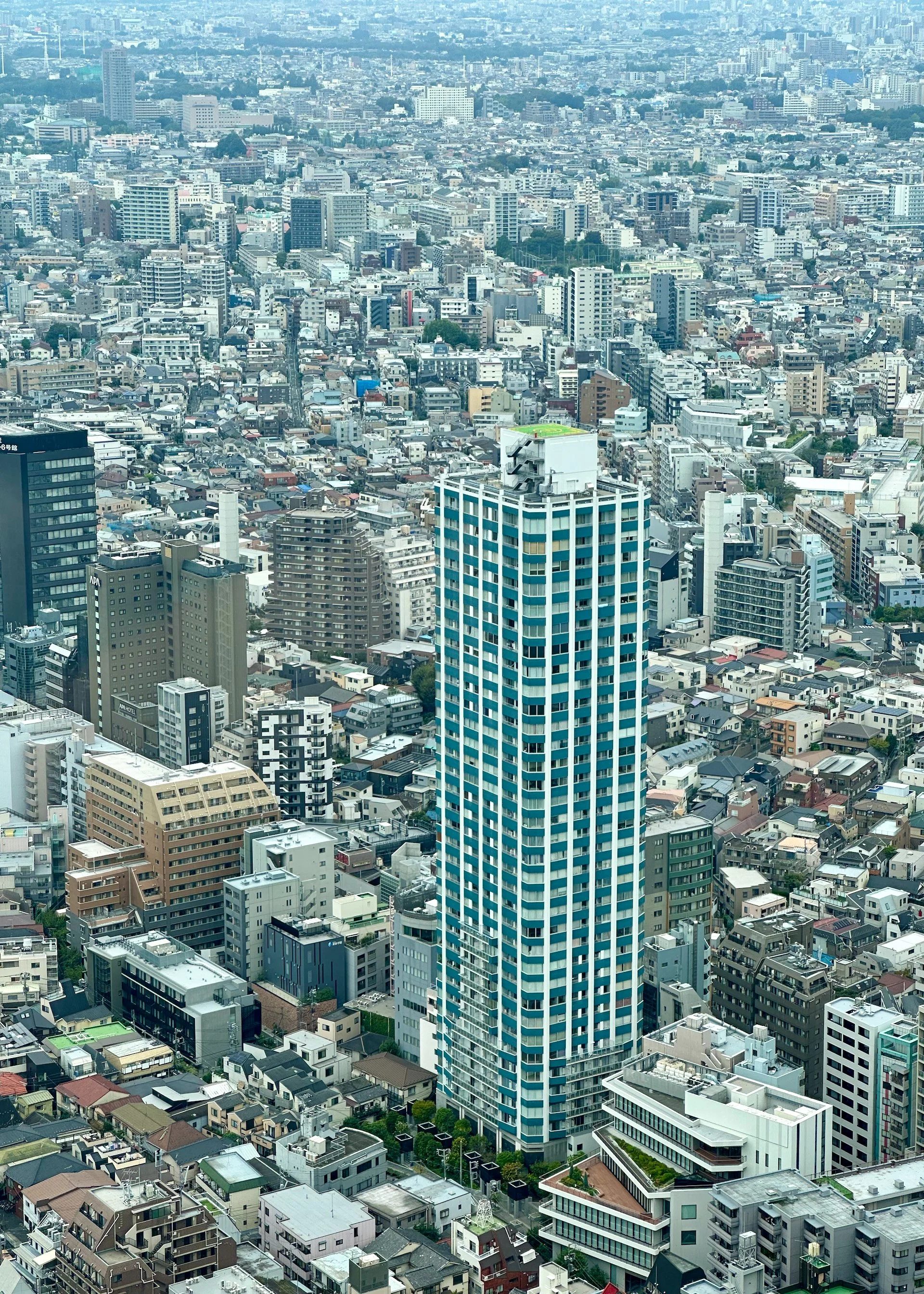 2025 10 Tokyo - Last Day - 4.jpeg