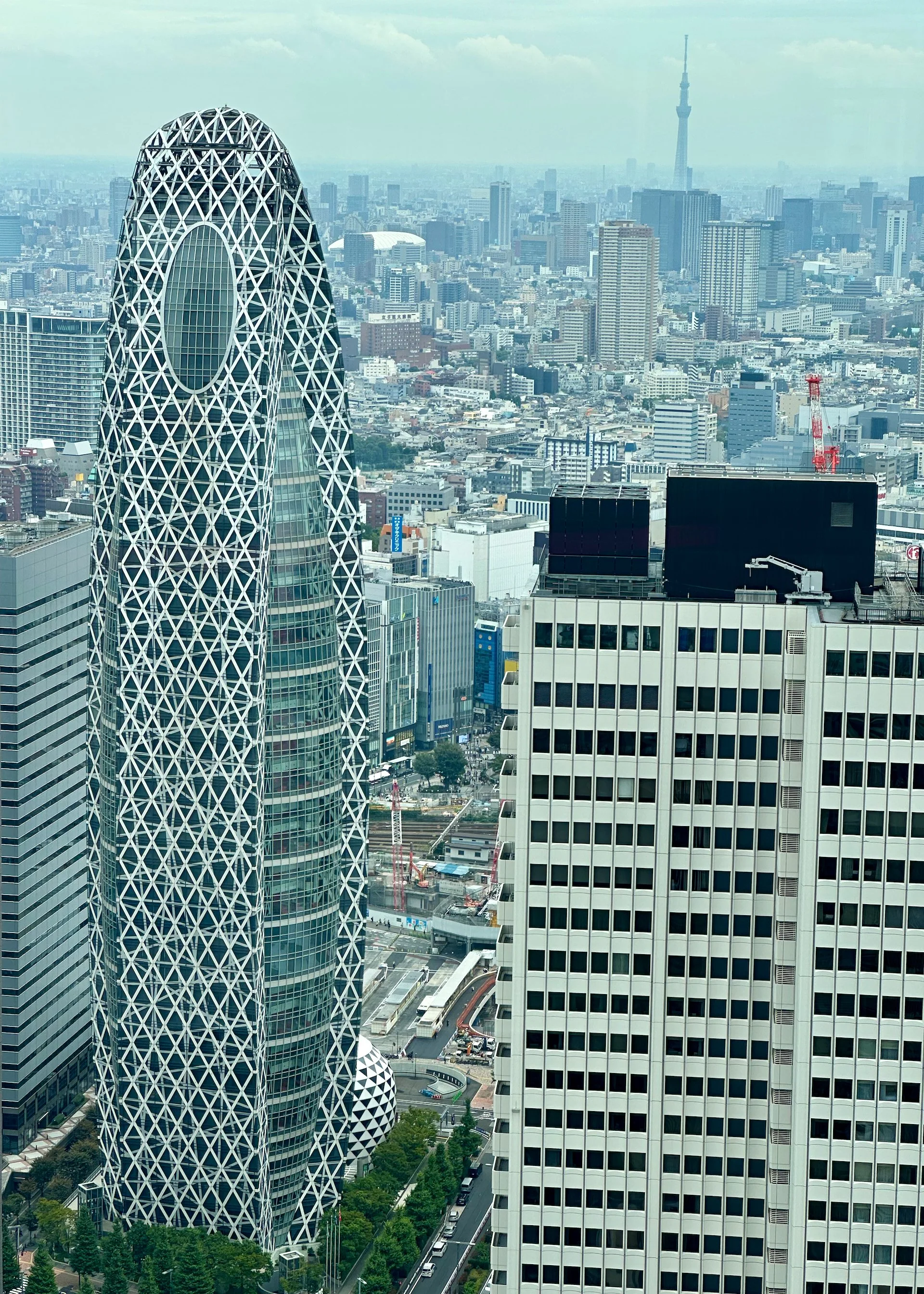 2025 10 Tokyo - Last Day - 6.jpeg