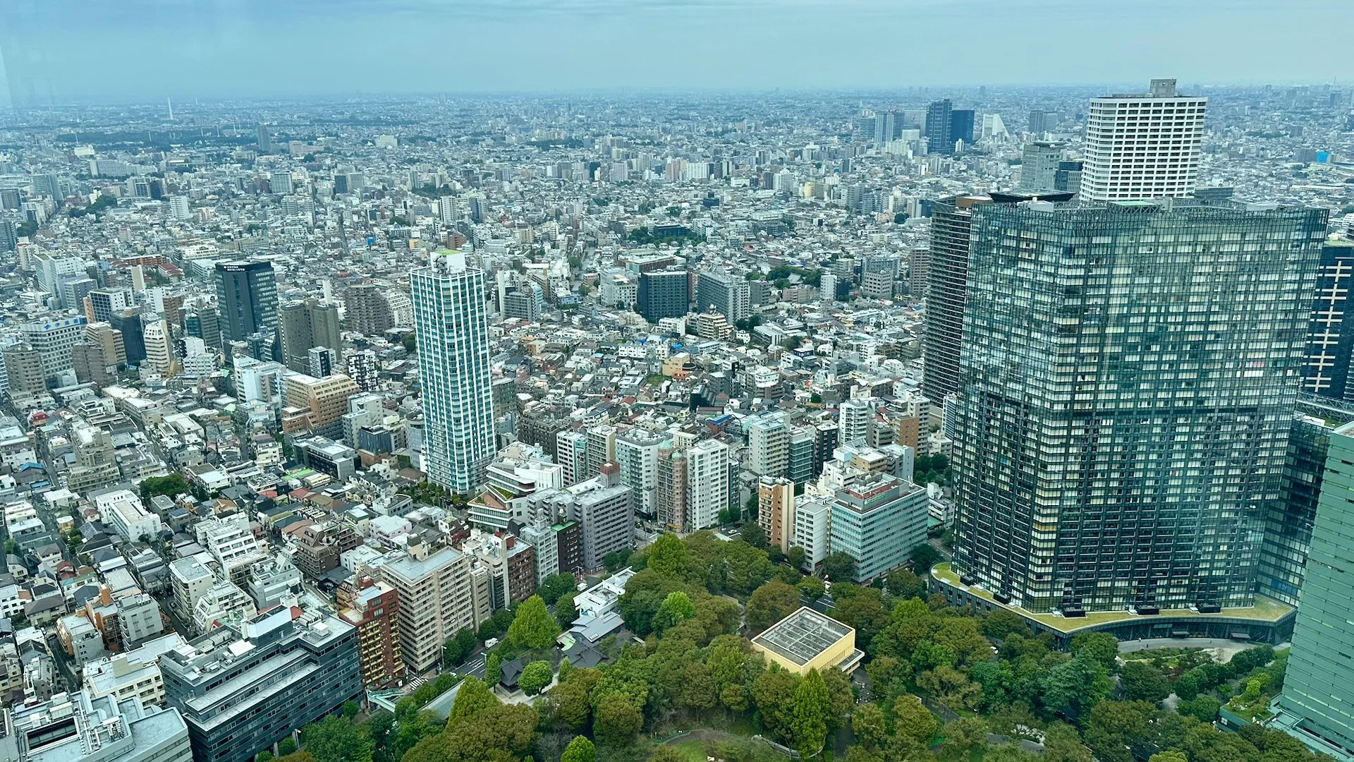 2025 10 Tokyo - Last Day - 3.jpeg