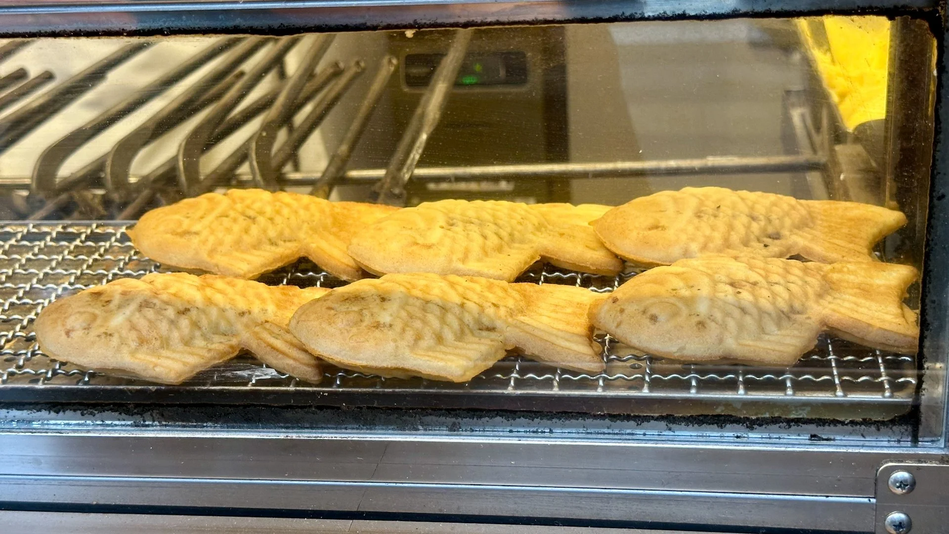 2025 10 Tokyo - Last Day - 24.jpeg