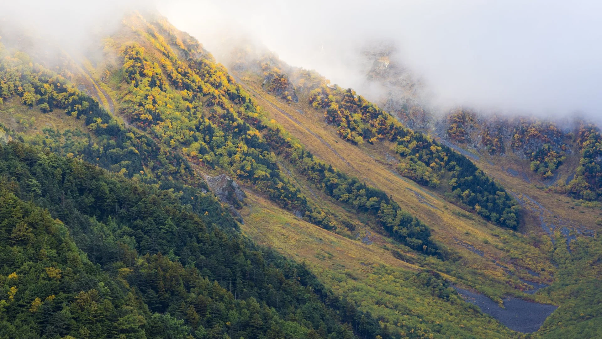  A few weeks later and all that colour would be down in the valley. 