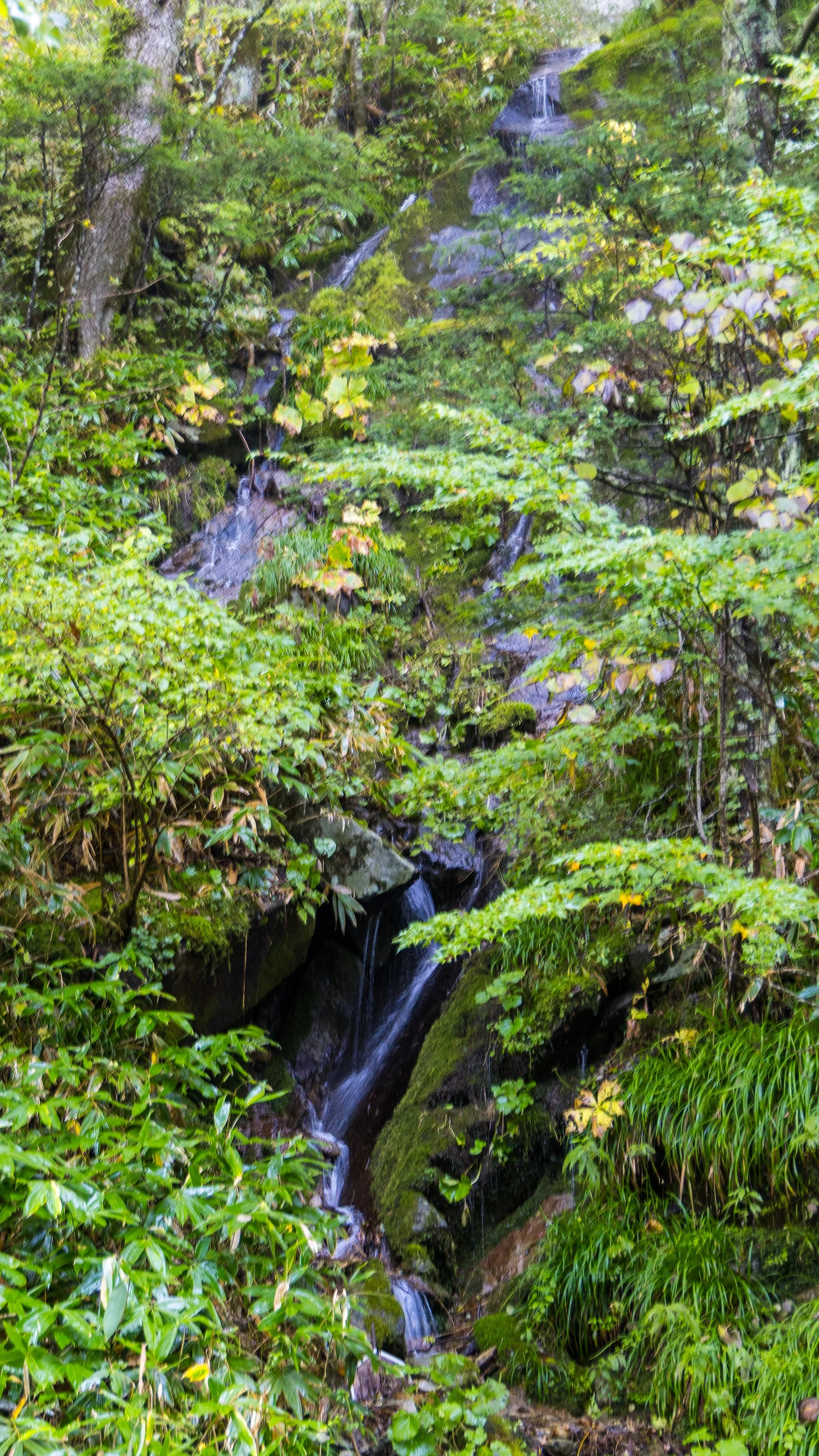  A small waterfall flowing down the rocks along the trail. 
