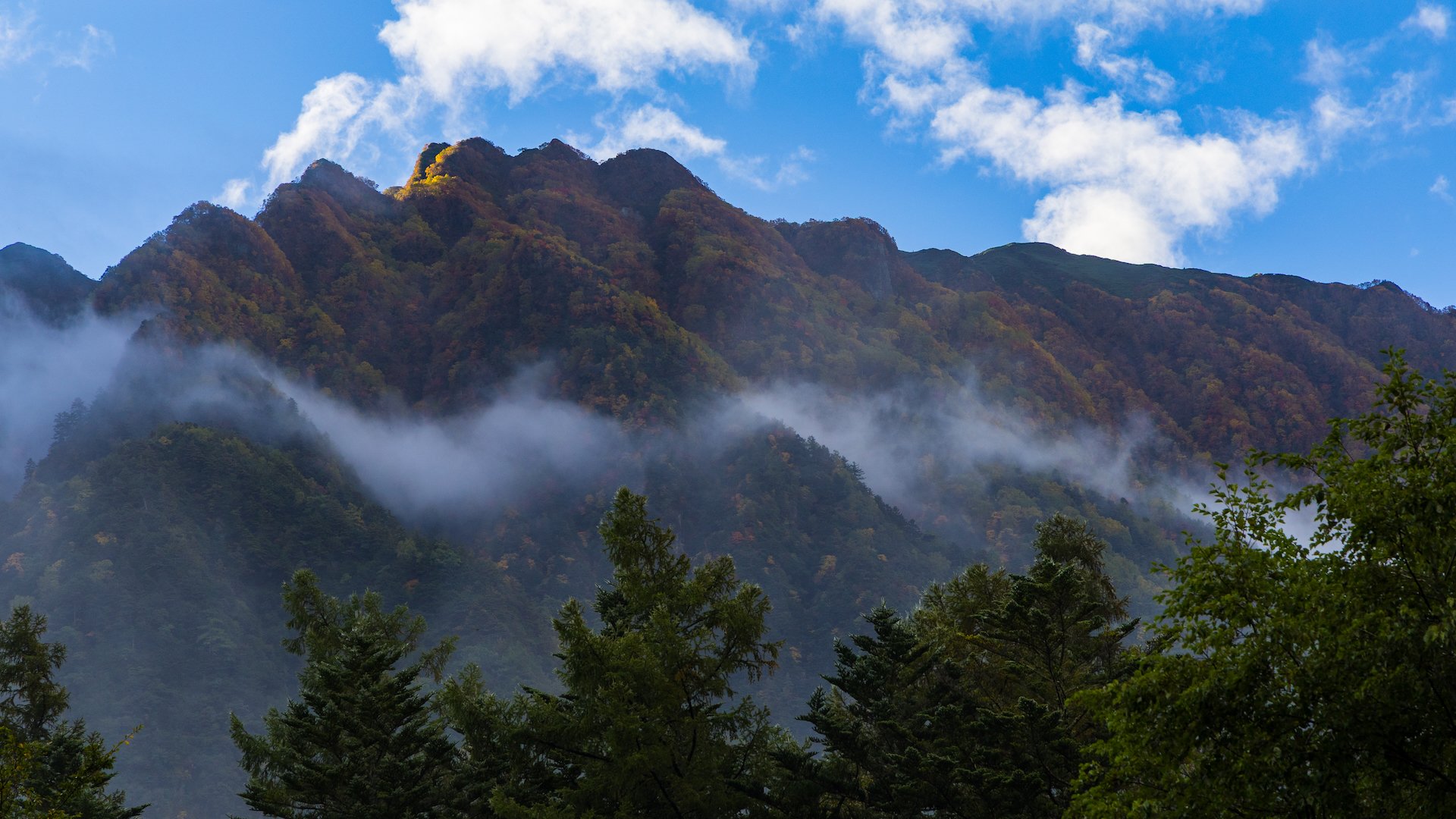  Up high on the mountains, you could really see the fall colours starting pop. 