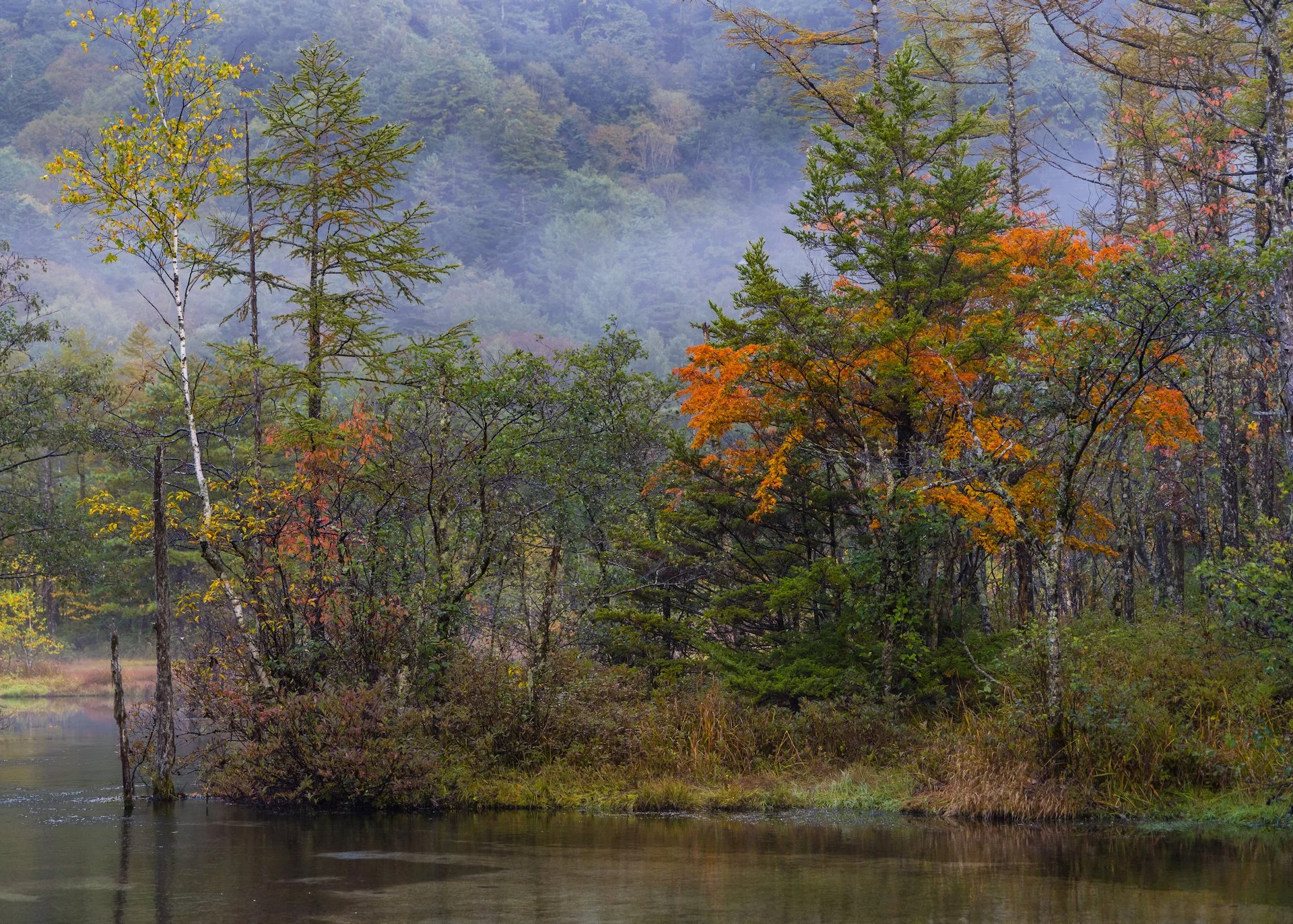  Some splashes of colour at the Tashiro Pond.  