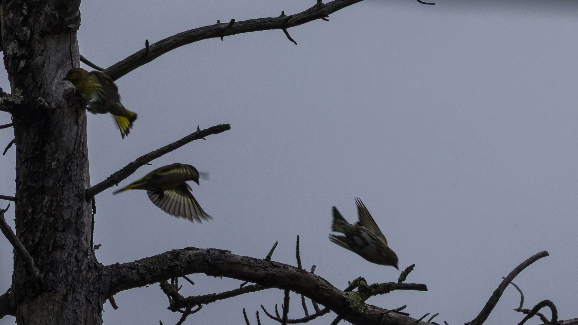 2025 10 Kamikochi - 54.jpeg