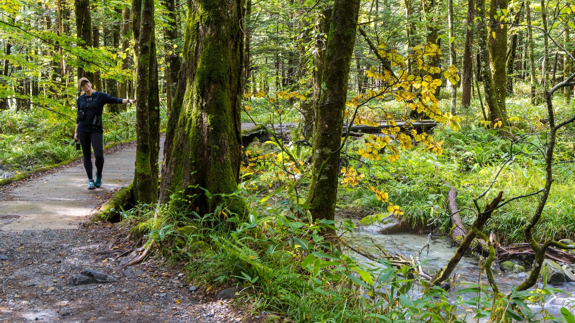 2025 10 Kamikochi - 58.jpeg