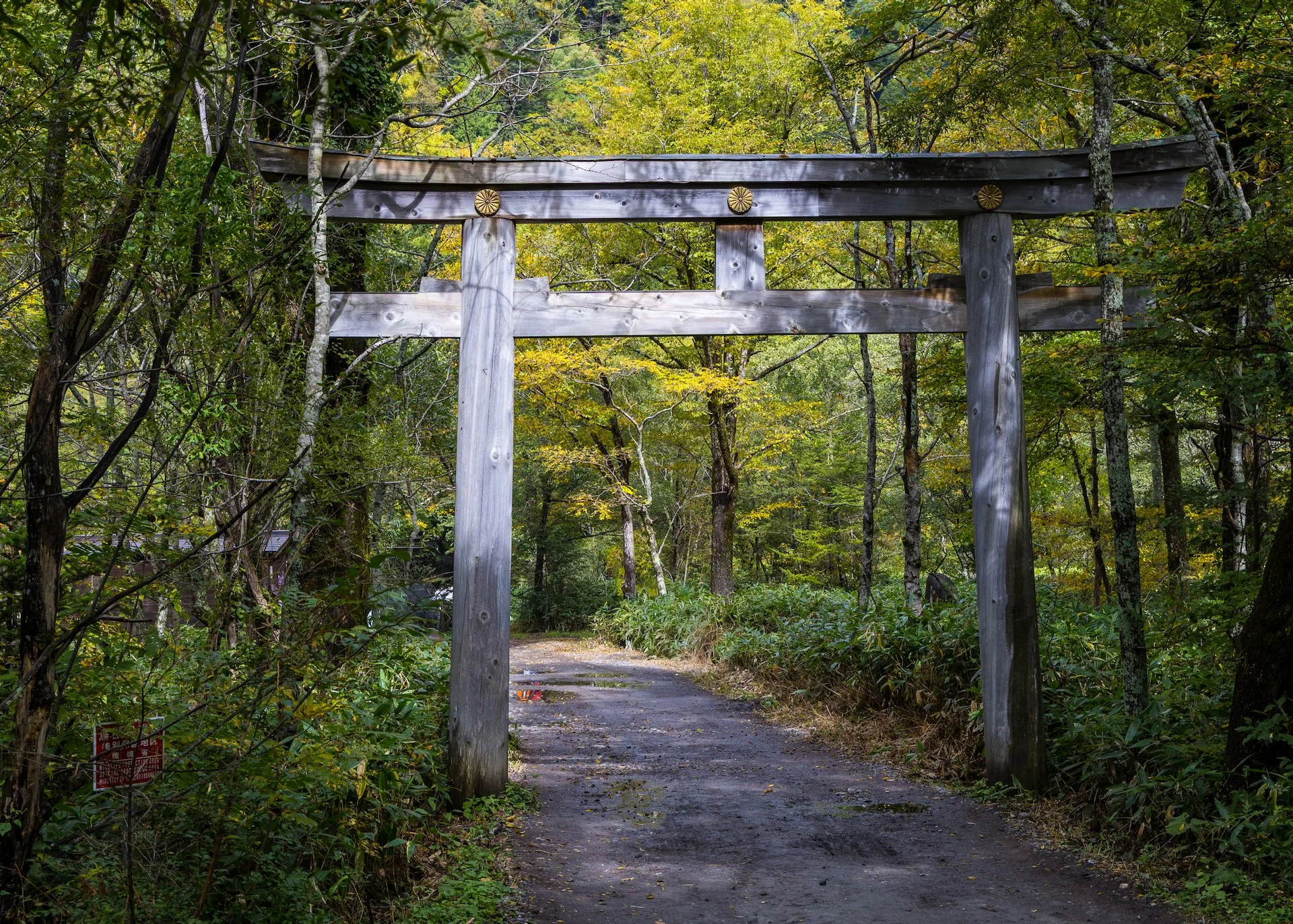  The torii gate on the path to the Myojin shrine 