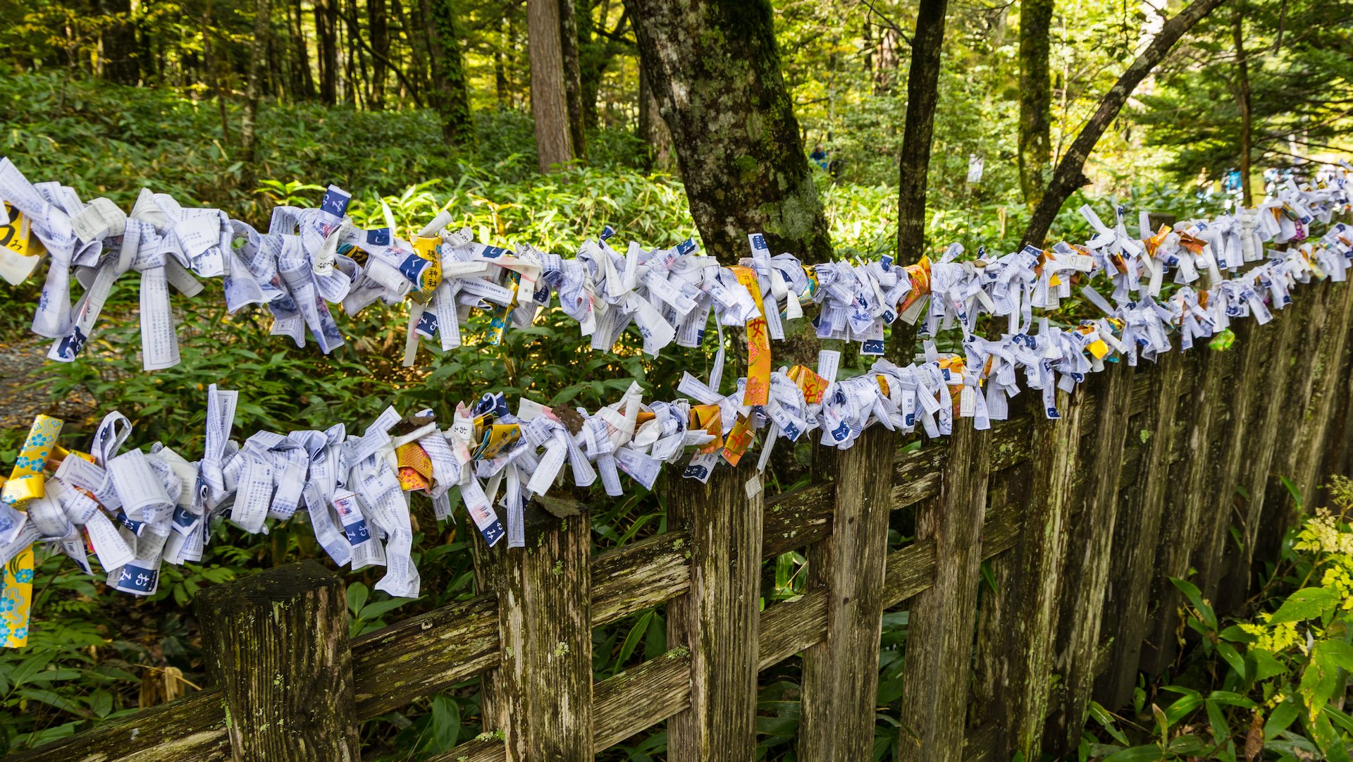  Outside the shrine, many poor fortunes have been tied.  