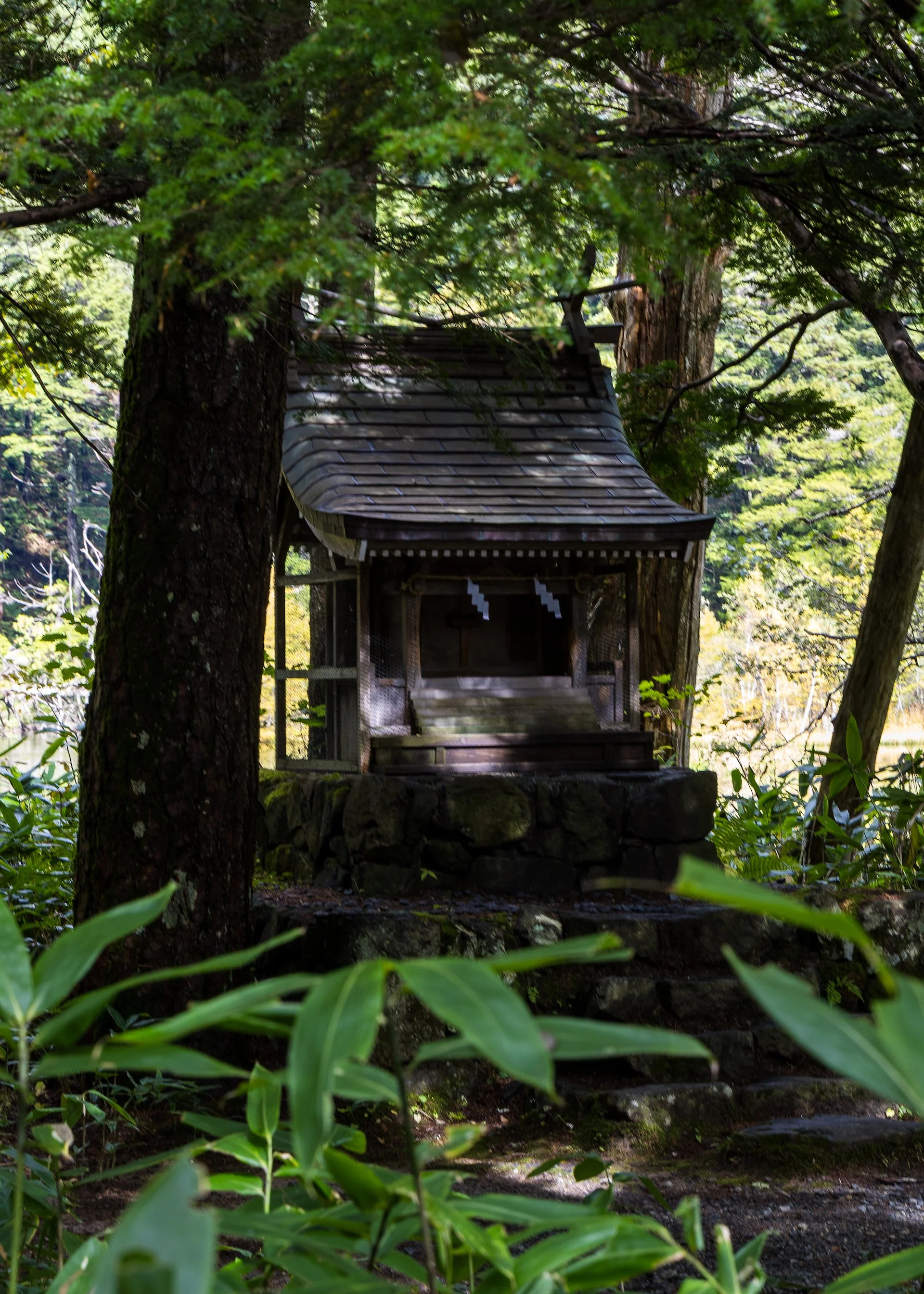  The cool little shrine. 