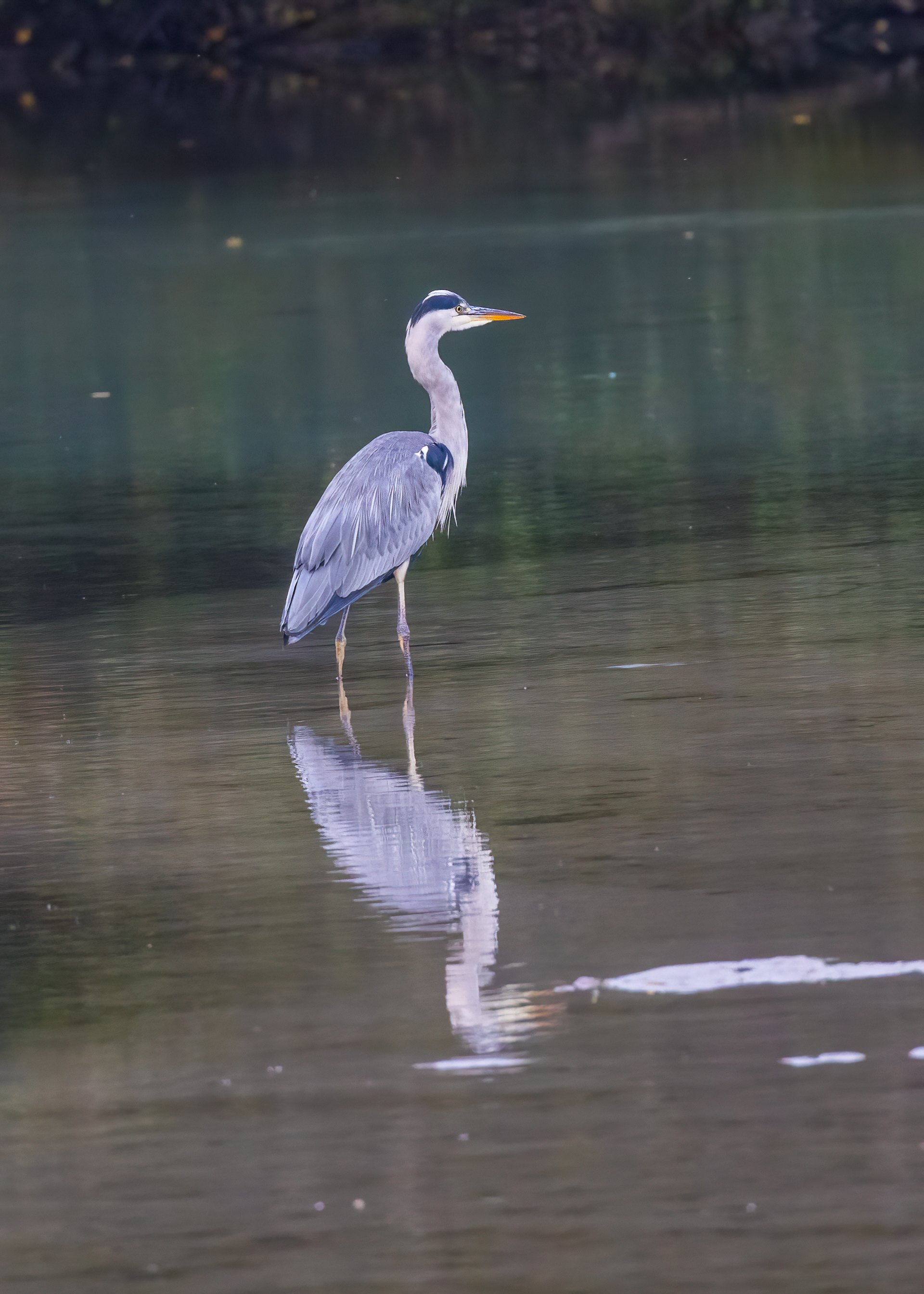 2025 10 Kamikochi - 116.jpeg