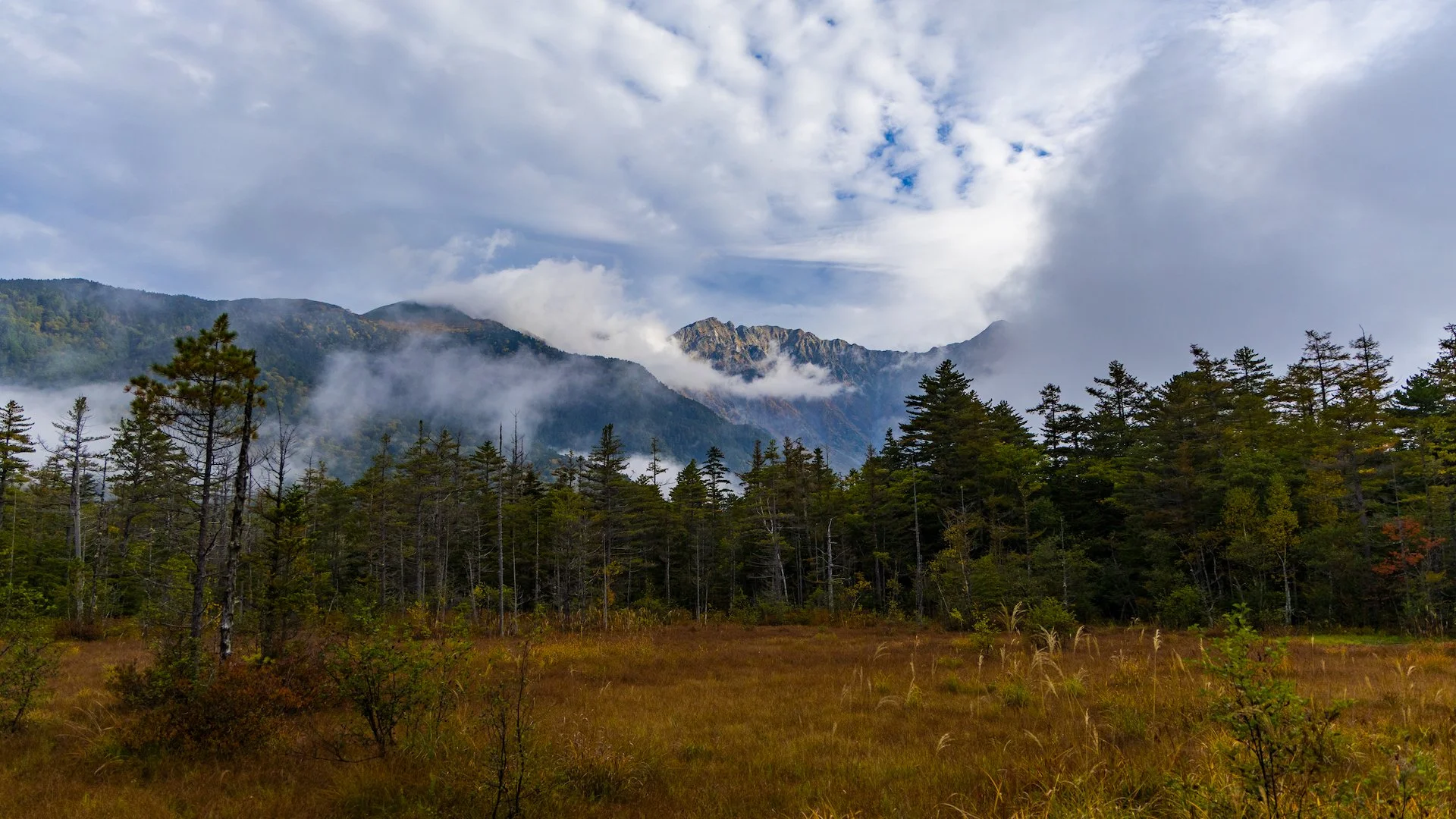 2025 10 Kamikochi - 121.jpeg