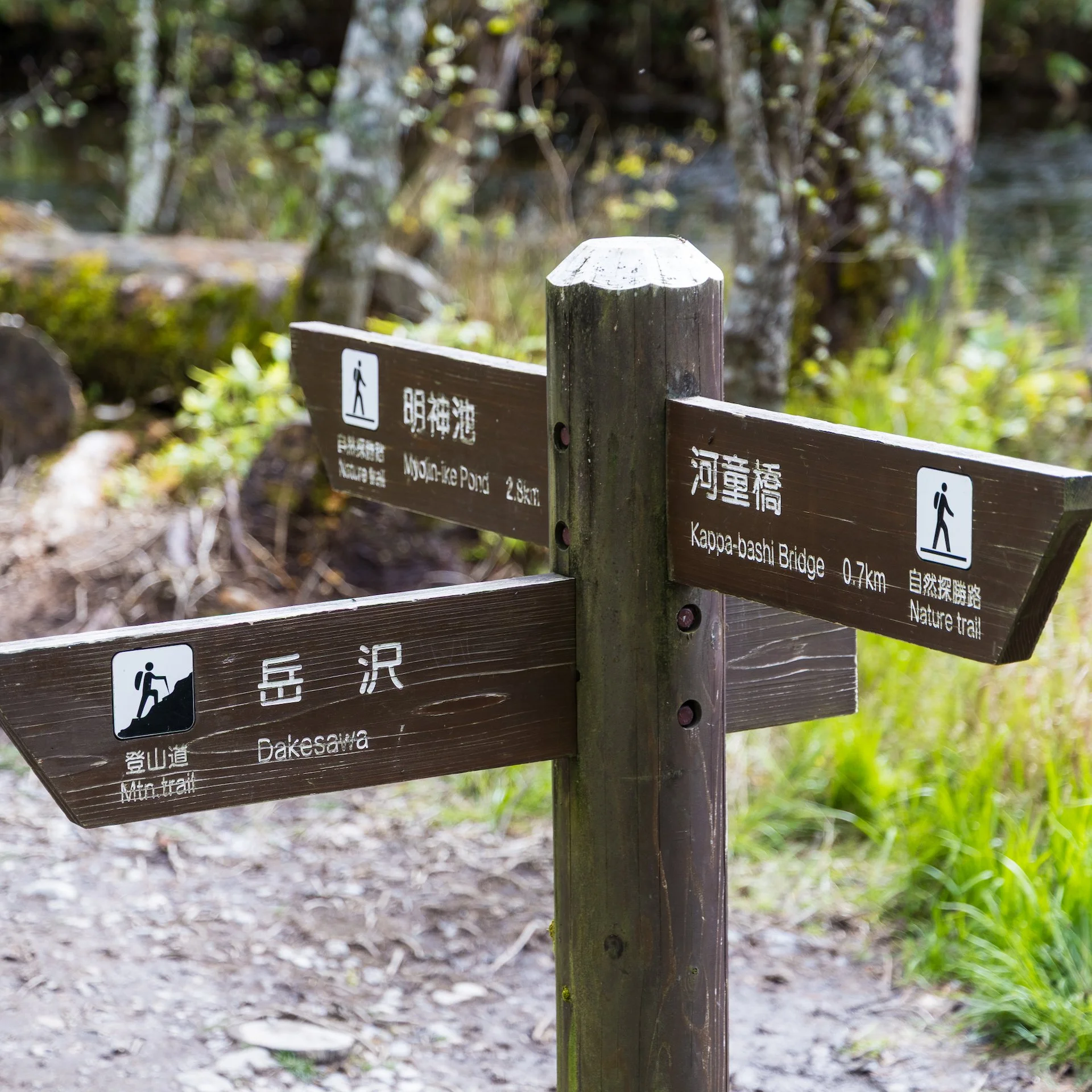 2025 10 Kamikochi - 128.jpeg