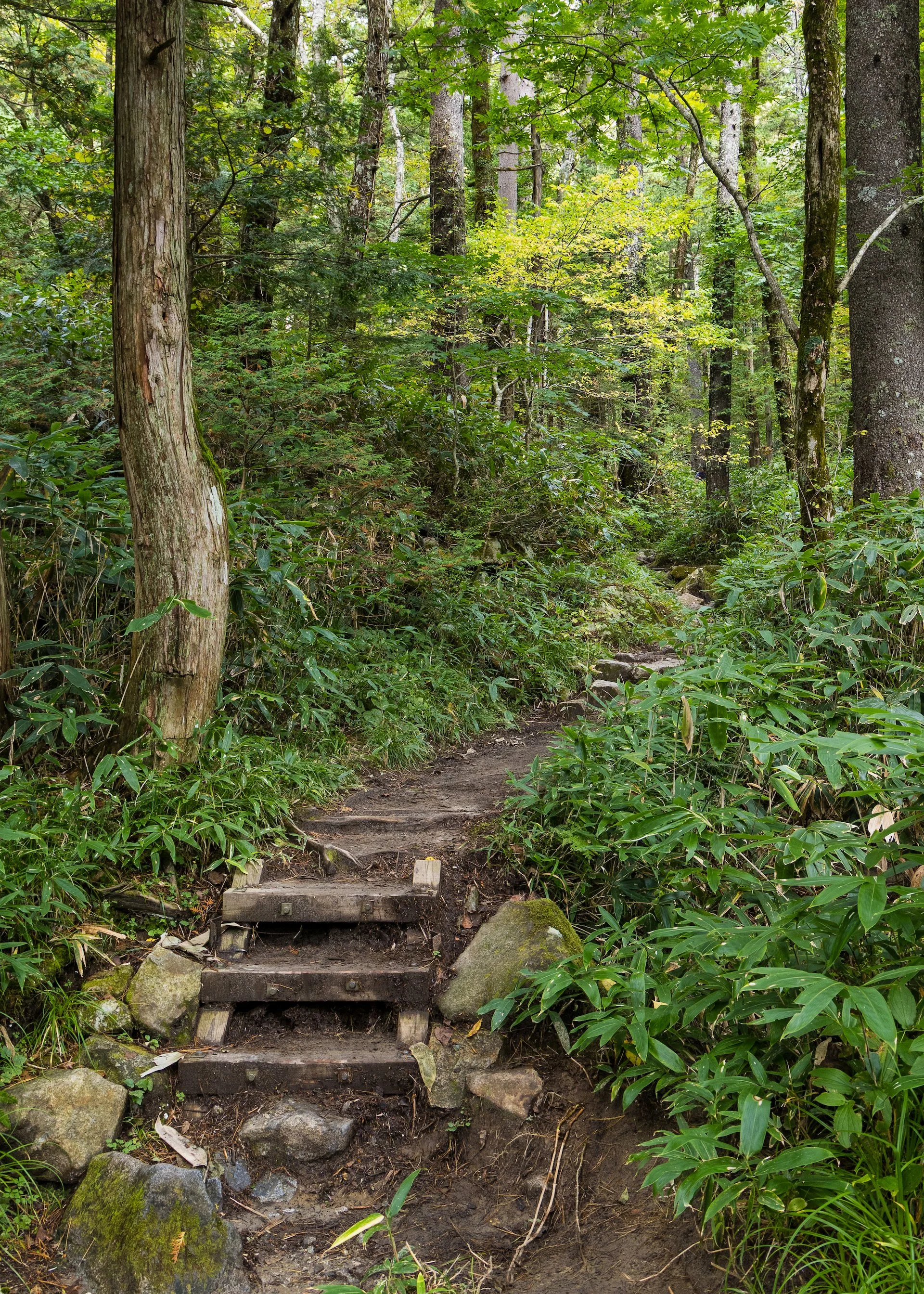  The first steps on the trail. There were a lot more to come. 