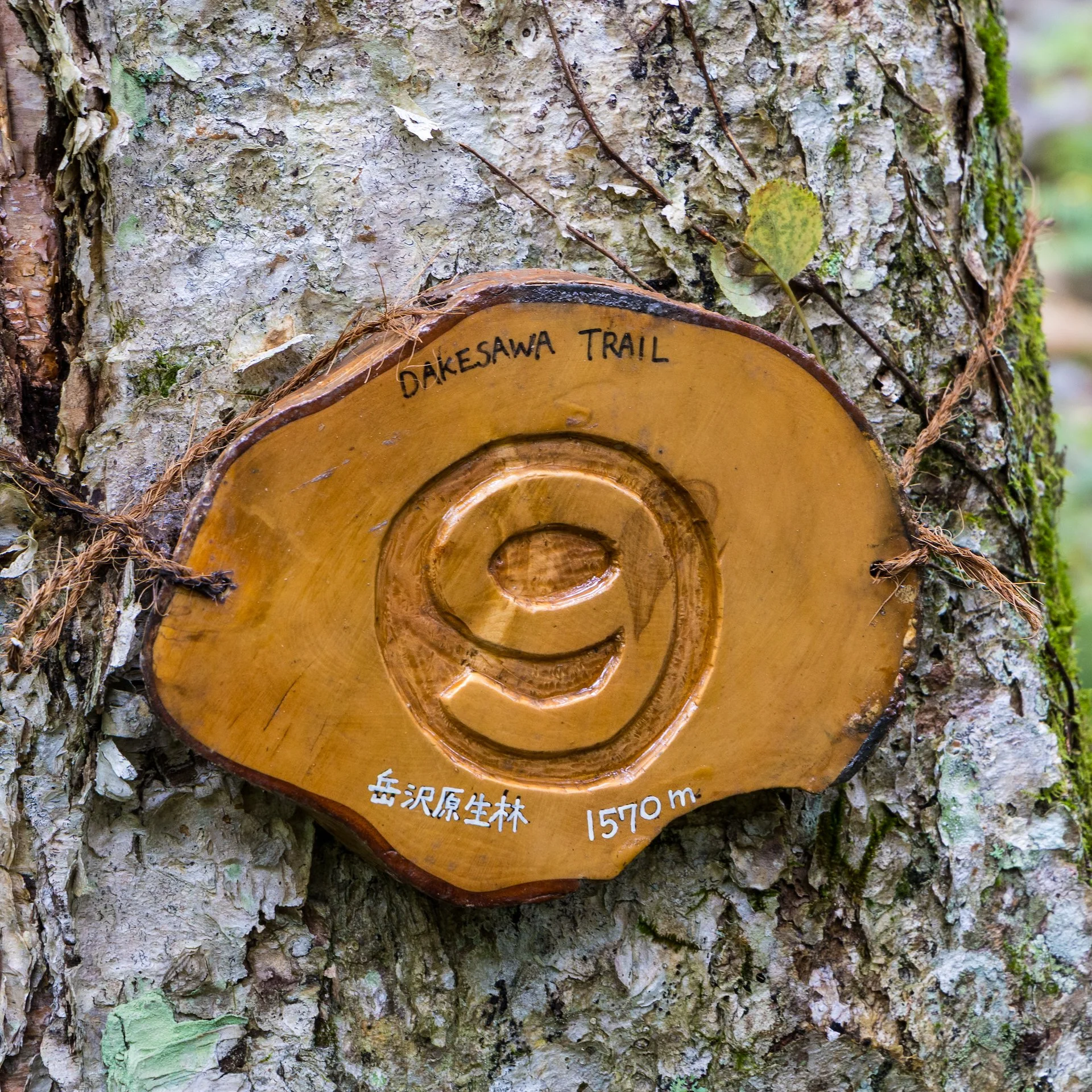  This was the first marker that we noticed. #10 was at the trailhead. 