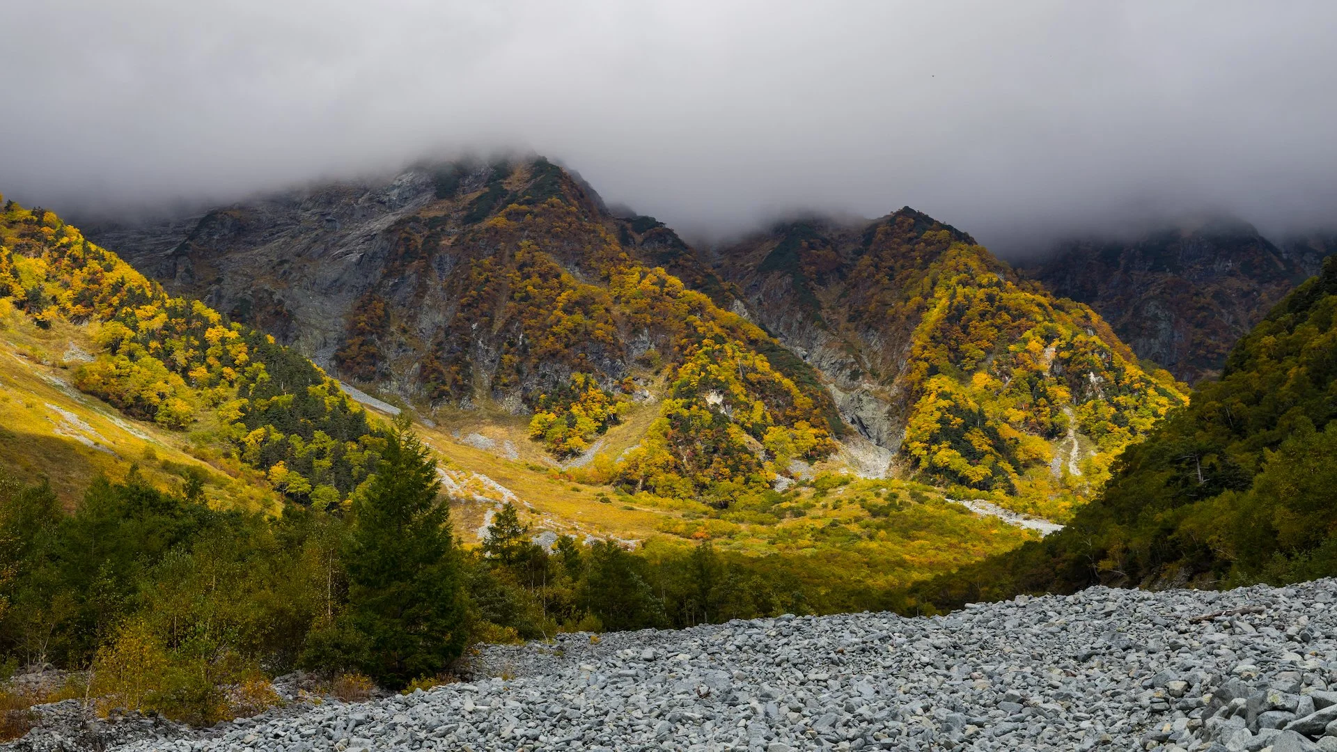  The beautiful fall colours up high.  