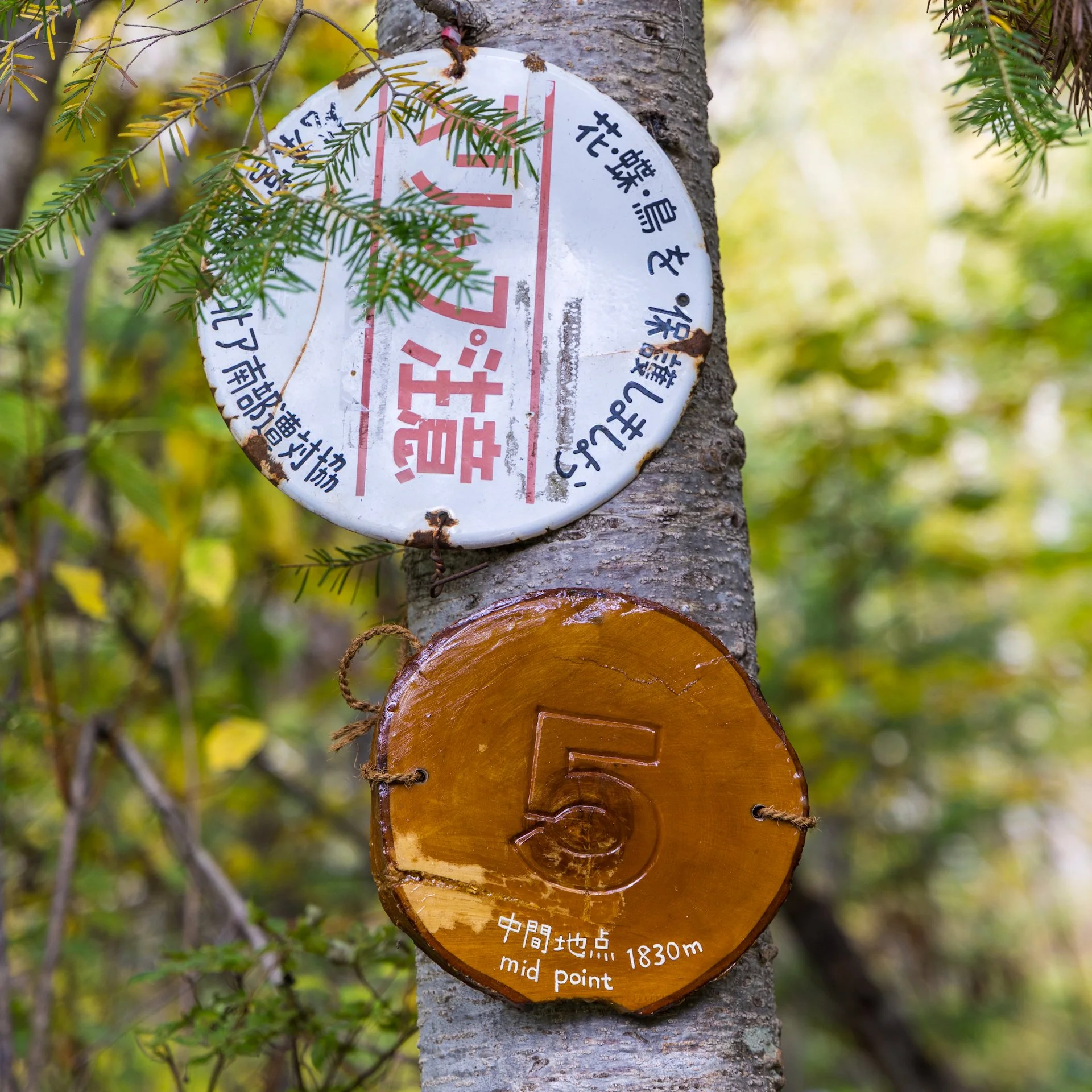 2025 10 Kamikochi - 140.jpeg