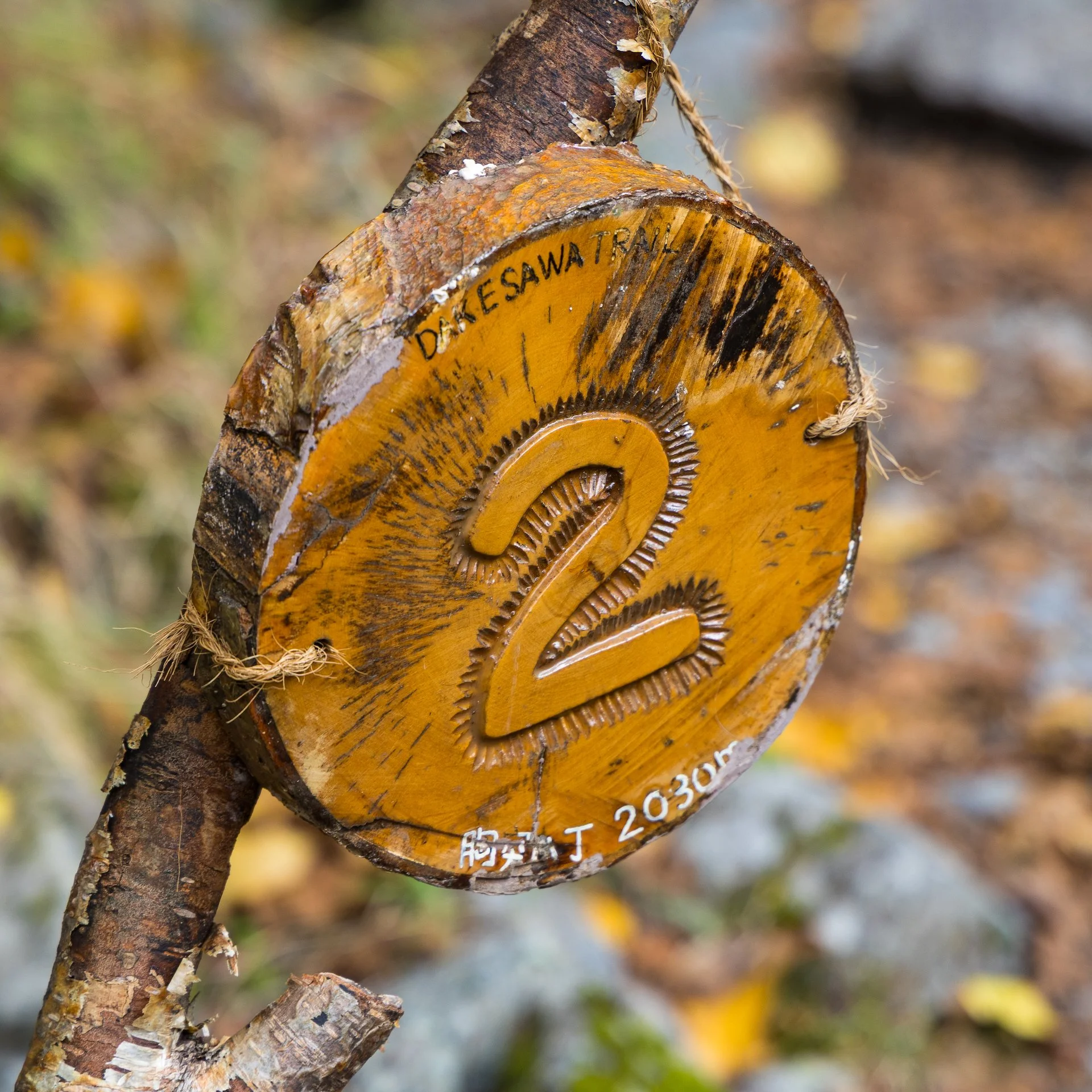 2025 10 Kamikochi - 142.jpeg