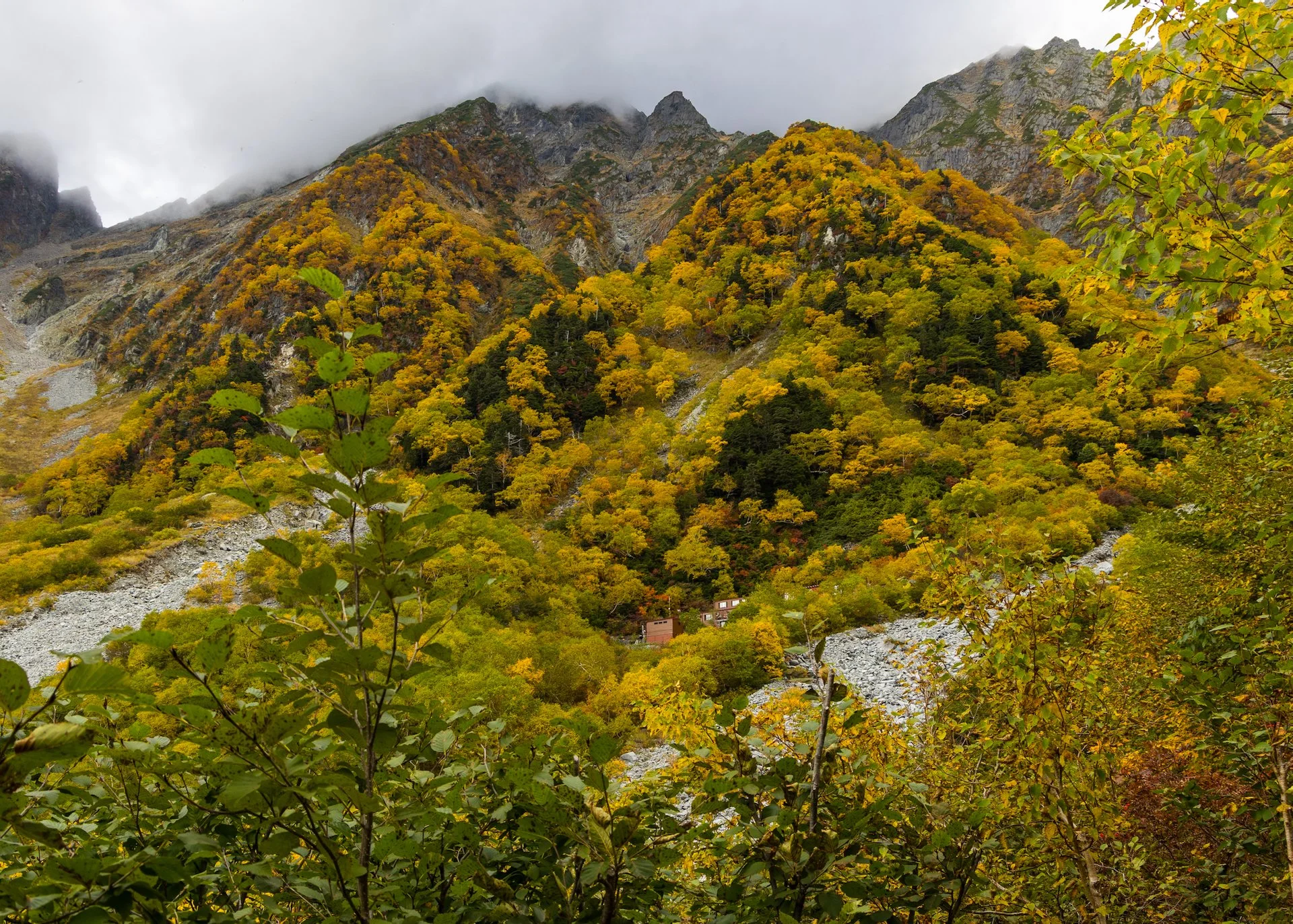  We got our first glimpse of the hut, peeking out from the trees. 
