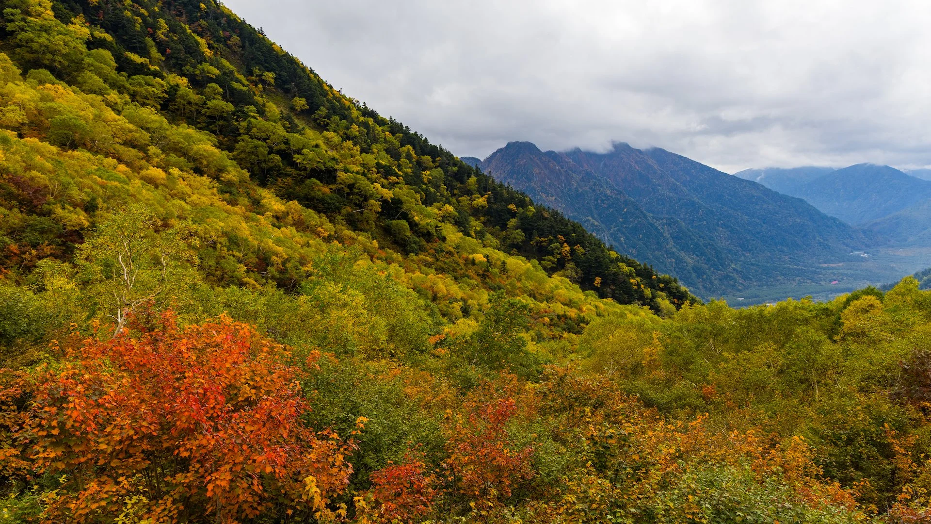  As we were up a bit higher, the colour was all around us. 