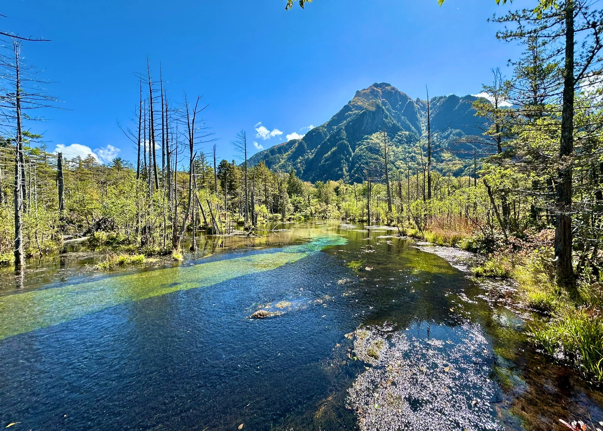  Even the Dakesawa Marsh looked amazing in the bright fall sunlight. 